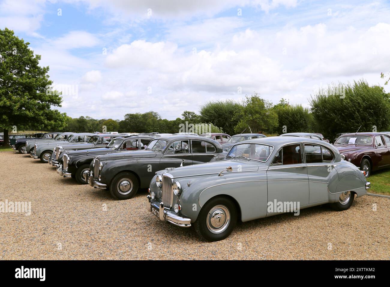 Jaguar Saloons aus den 1950er Jahren, Mike Hawthorm Museum (Privatsammlung), England, Großbritannien, Großbritannien, Europa Stockfoto