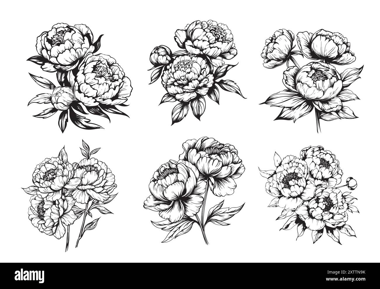 pfingstrose Blumen Set Illustration. Handgezeichnete Linienzeichnung abstrakter Blume. pfingstrose-Symbol. Stock Vektor