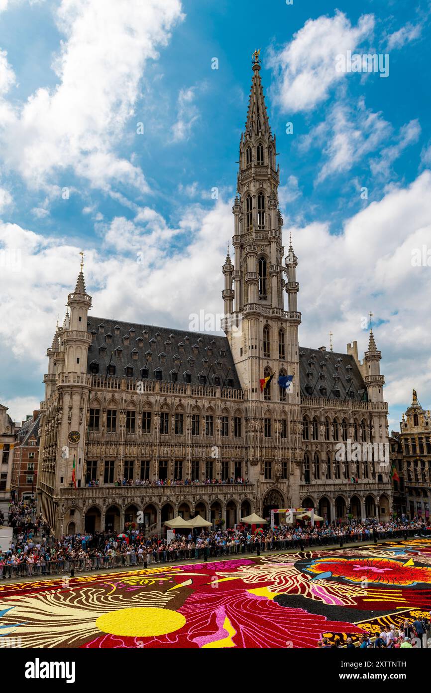 Brüsseler Rathaus am Grand Place mit Blumenteppich, Belgien. Stockfoto