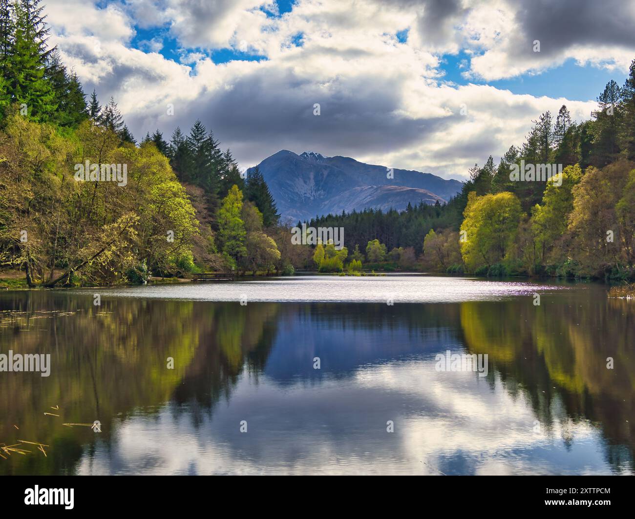 Der Blick auf Glencoe Lochan mit seinen üppigen Wäldern und lebhaften Farben spiegelt sich im kristallklaren Wasser wider Stockfoto