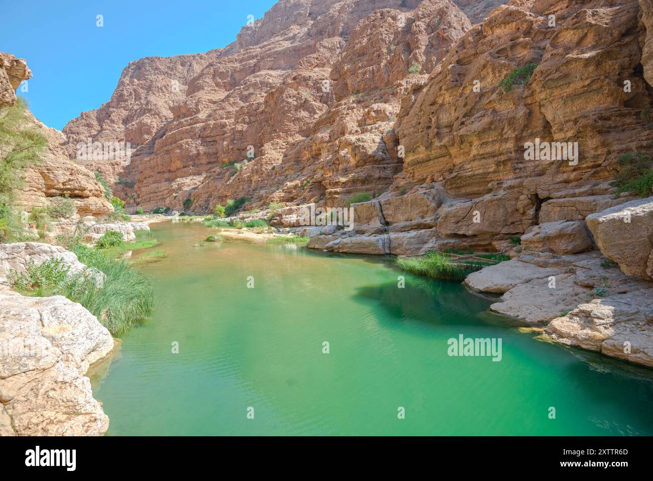 Malerischer Blick auf die Schlucht und den Fluss des Wadi Ash Shab in Oman, mit natürlicher Schönheit und einem beliebten Reiseziel aus dem Nahen Osten, mit Kopierraum Stockfoto