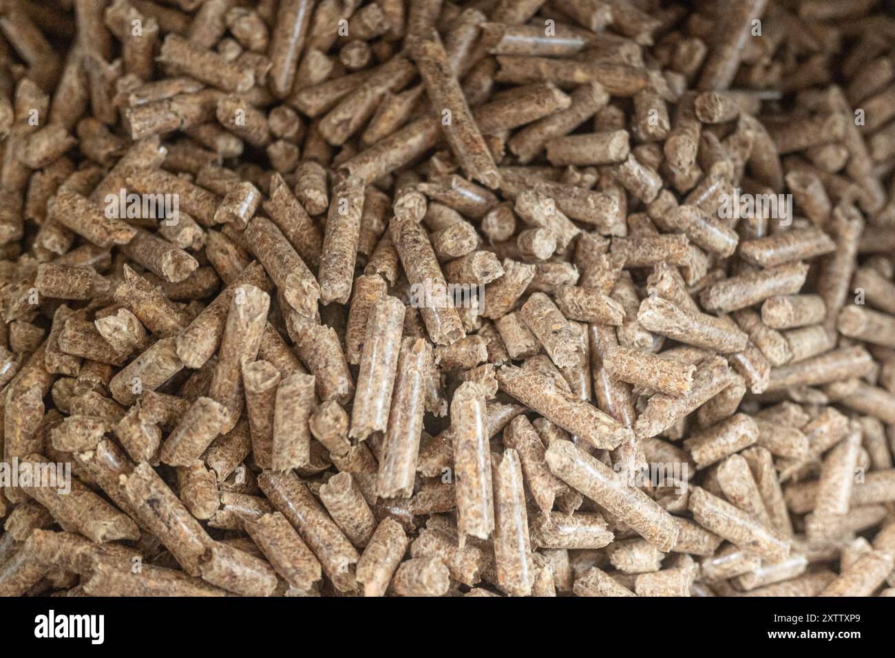 Detailansicht von komprimierten Brennstoffpellets für Heizkessel und Kamine sowie organischer granulierter Biomasse für die Raumheizung. Ökologisch brennbare Co Stockfoto