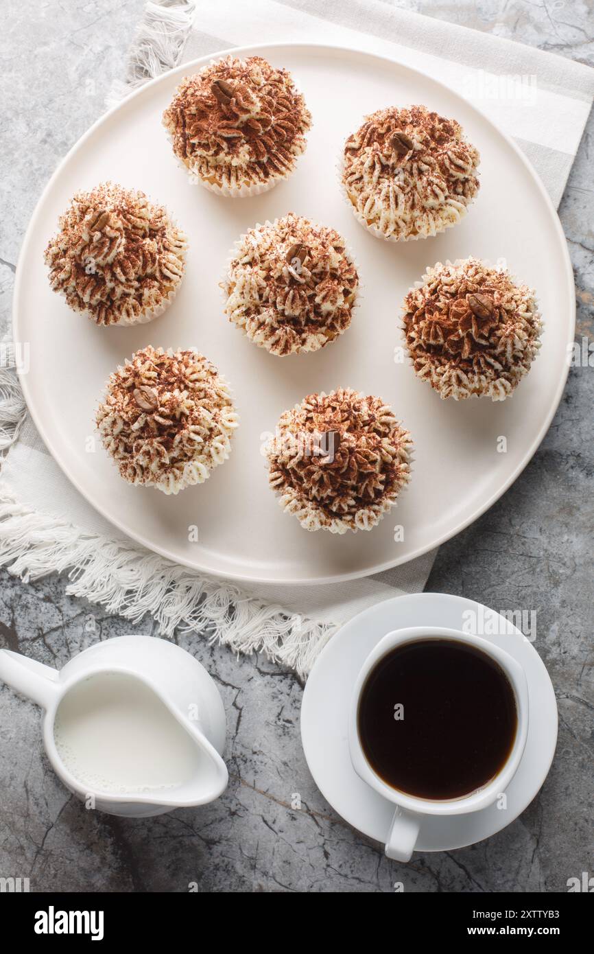 Tiramisu Cupcakes mit Mascarpone-Kakao-Frosting Nahaufnahme auf dem Teller auf dem Tisch. Vertikale Draufsicht von oben Stockfoto