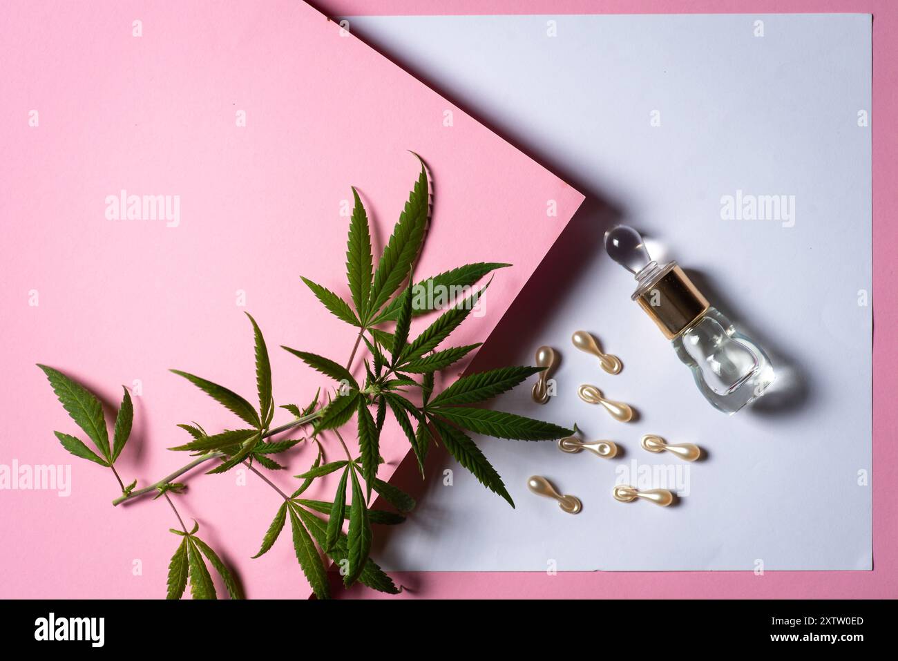 Marihuanazweig mit Blättern, Kapseln für gesundes Haar und Parfüm auf Basis von Cannabisöl. Marihuana für medizinische und kosmetische Zwecke Stockfoto