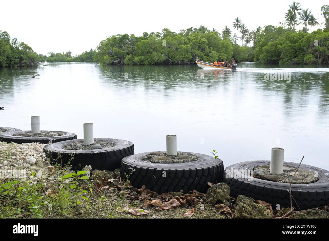 PAPUA-NEUGUINEA, Madang, Bismarcksee, Dorf Riwo, Klimawandel, Küstenschutz mit Autoreifen und Zement, Mangroven / PAPUA NEUGUINEA, Madang, Bismarck See, Dorf Riwo, Klimawandel, Uferbefestigung mit Reifen und Beton, Mangroven Stockfoto