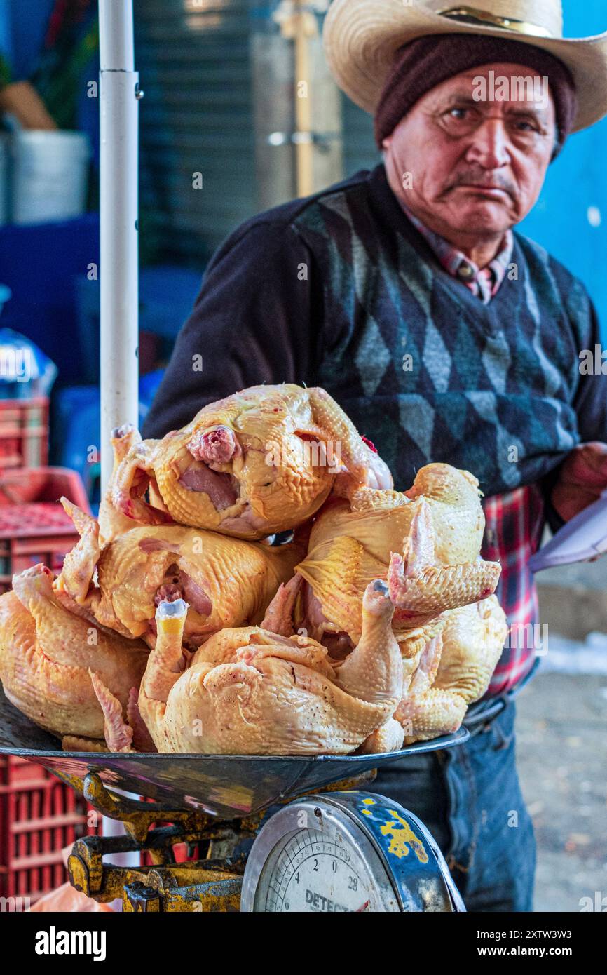 Hühner auf dem Markt, Santa Cruz del Quiché, Guatemala, Mittelamerika Stockfoto Hühner auf dem Markt, Santa Cruz del Quiché, Guatemala, Mittelamerika Stockfoto
