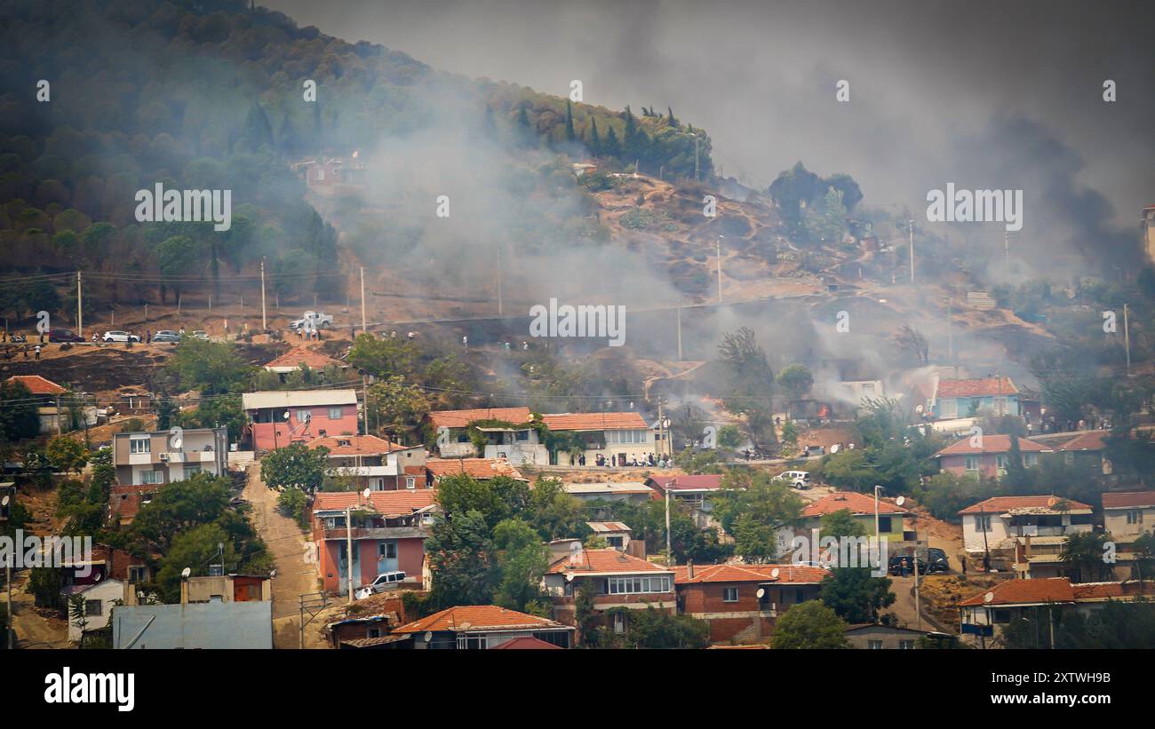 Izmir, Türkei. August 2024. Die Bemühungen um das Löschen eines Waldbrandes, der gestern Abend in einem Wald im Gebiet Yamanlar des Bezirks ​​the Karsıyaka in Izmir ausgebrochen ist, werden auf dem Land- und Luftweg fortgesetzt. Einige Viertel, in denen die Flammen aufgrund des starken Windes in Wohngebiete gelangten, wurden evakuiert. Es wurde beobachtet, dass das Feuer, das sich über ein weites Gebiet ausbreitete, einige Häuser, eine Schule und ein Industriegebiet verbrannte. Quelle: İdil Toffolo/Alamy Live News Stockfoto
