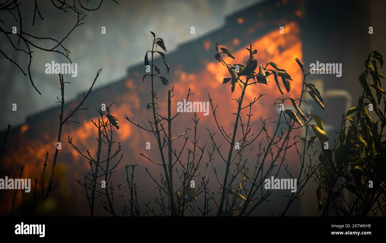 Izmir, Türkei. August 2024. Die Bemühungen um das Löschen eines Waldbrandes, der gestern Abend in einem Wald im Gebiet Yamanlar des Bezirks ​​the Karsıyaka in Izmir ausgebrochen ist, werden auf dem Land- und Luftweg fortgesetzt. Einige Viertel, in denen die Flammen aufgrund des starken Windes in Wohngebiete gelangten, wurden evakuiert. Es wurde beobachtet, dass das Feuer, das sich über ein weites Gebiet ausbreitete, einige Häuser, eine Schule und ein Industriegebiet verbrannte. Quelle: İdil Toffolo/Alamy Live News Stockfoto