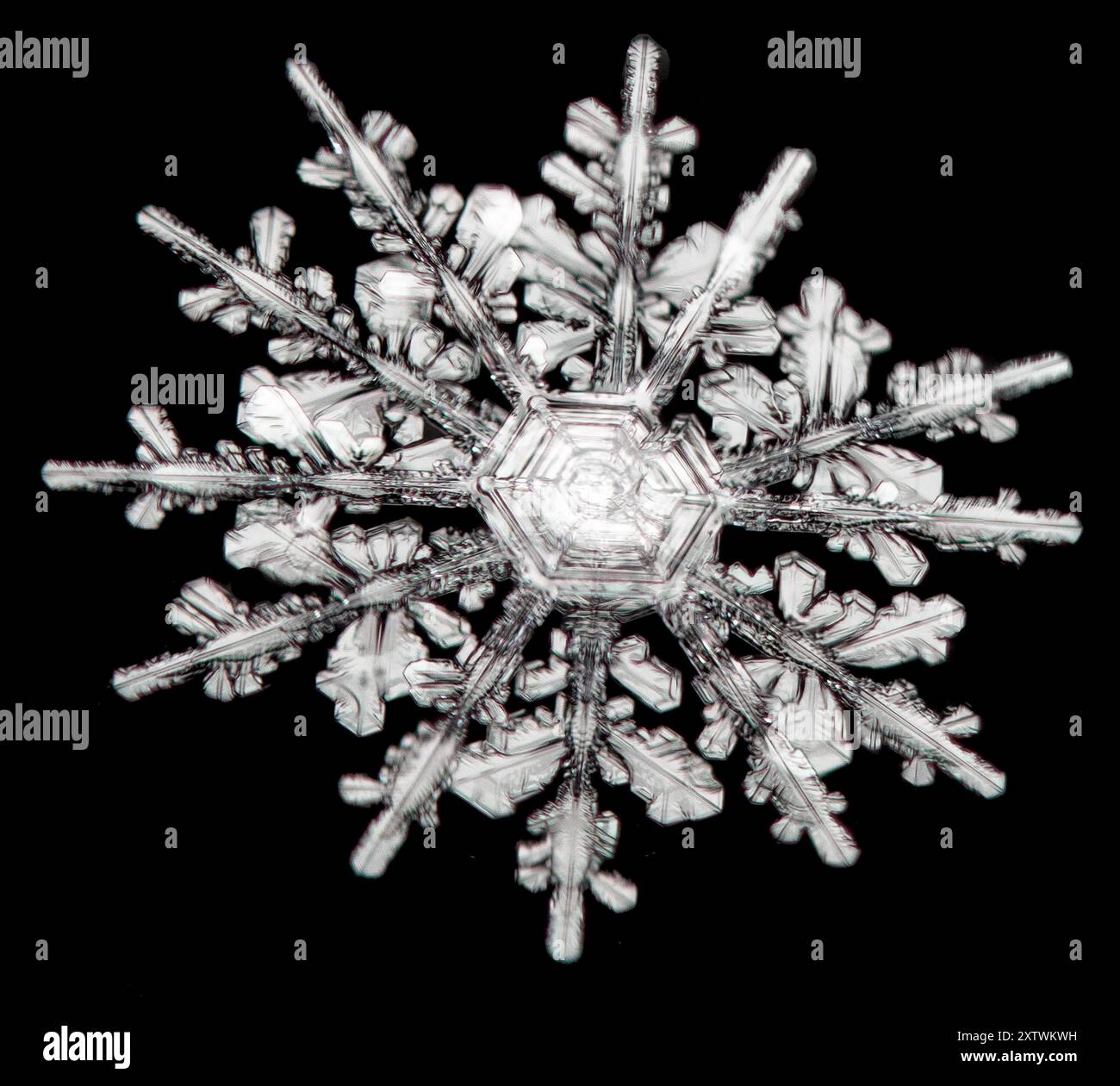 Komplizierte Schneeflocke mit sechseckiger Symmetrie und zarten Eiskristallen vor dunklem Hintergrund. Stockfoto