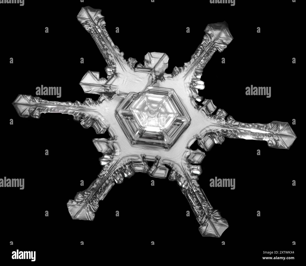 Nahaufnahme einer einzelnen Schneeflocke mit komplizierten Mustern und Symmetrien in Monochrom. Stockfoto