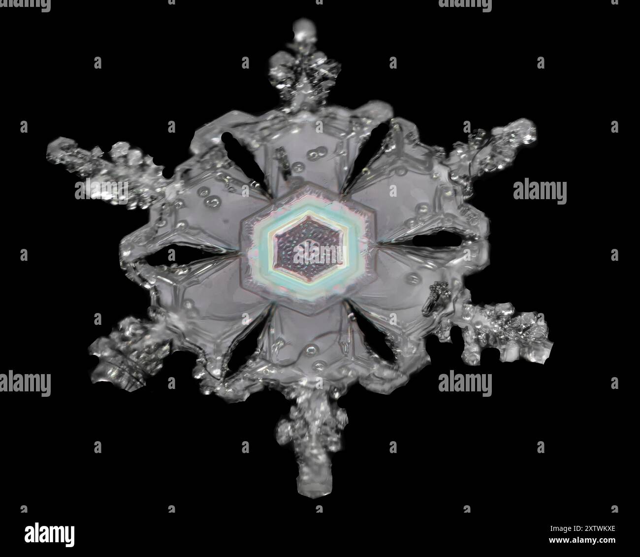 Komplizierte Schneeflocke mit sechseckigem Muster und zarten Kristallformationen vor schwarzem Hintergrund. Stockfoto