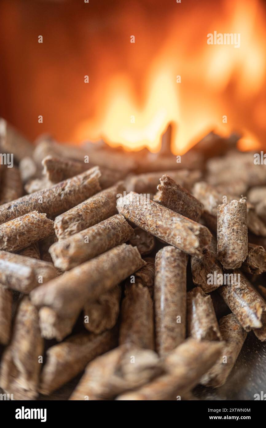 Pellets vor dem Glas eines Ofens mit einer schönen Flamme, nachhaltiger und ökologischer Heizung. Biokraftstoff-Konzept Stockfoto