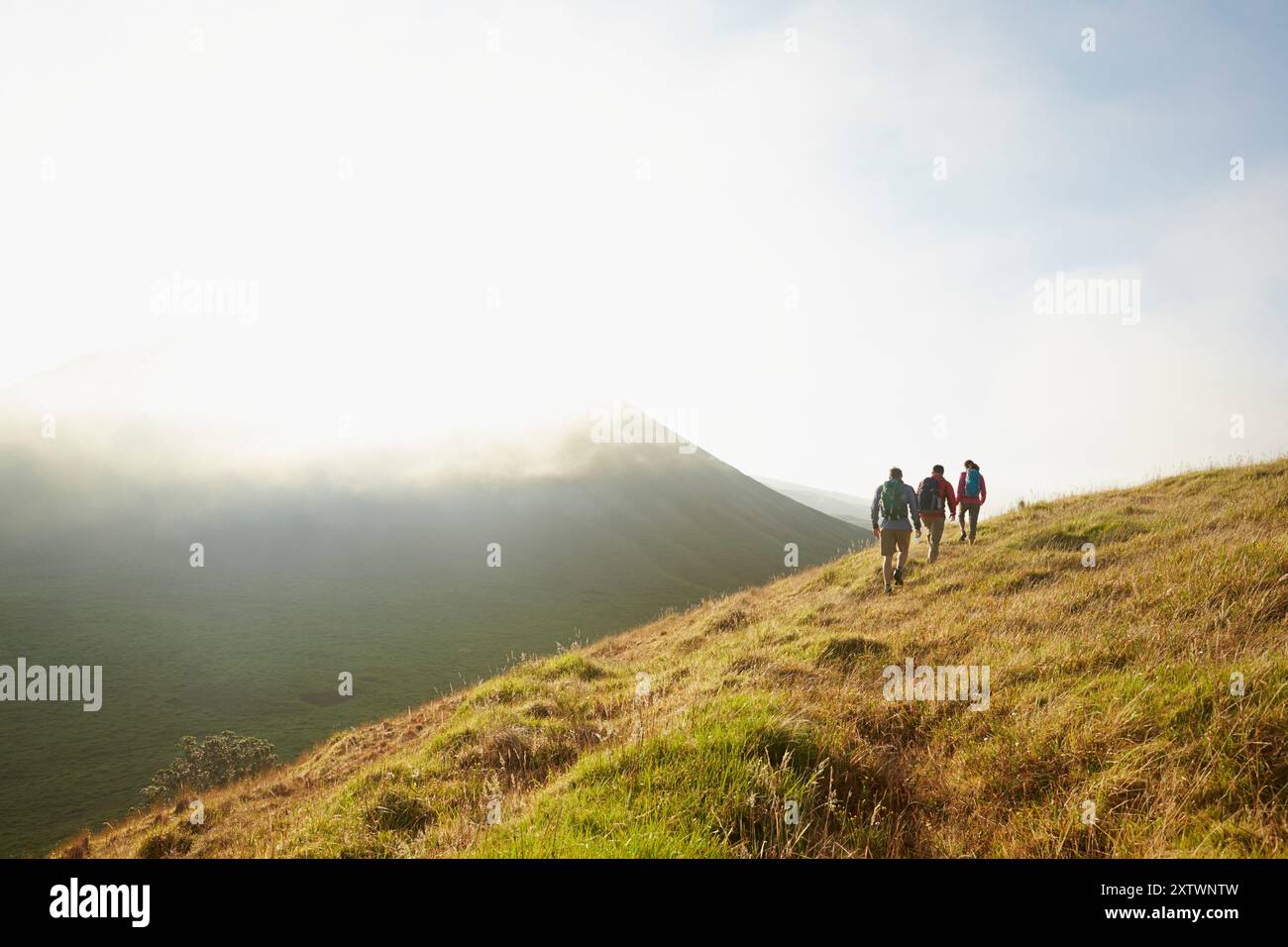 Eine Gruppe von Wanderern geht im Morgennebel einen grünen, grasbewachsenen Hügel hinauf, mit einem klaren Himmel über und einem Berghang im Hintergrund. Stockfoto