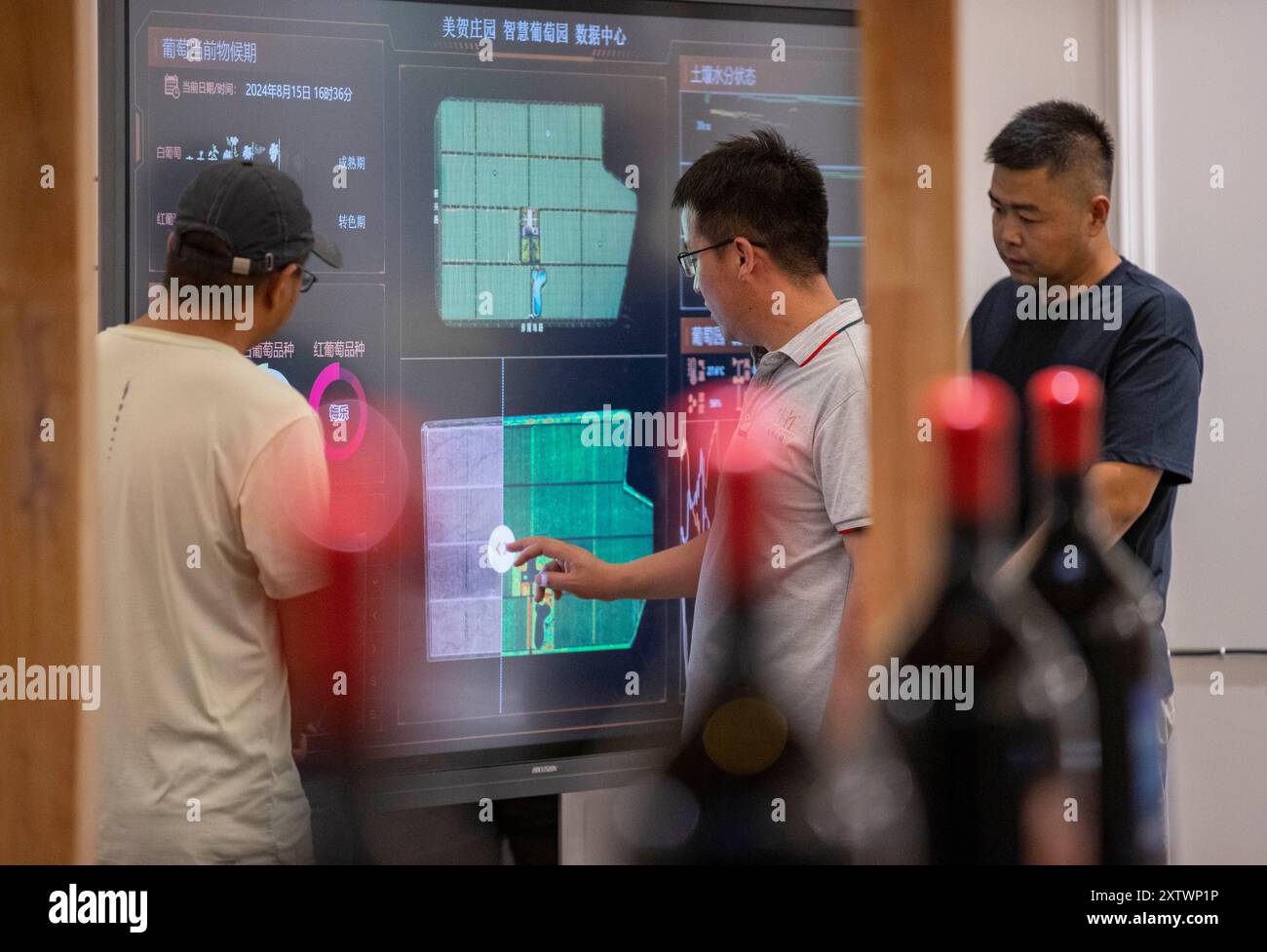 (240816) -- YINCHUAN, 16. August 2024 (Xinhua) -- Ein Mitarbeiter des Weinguts (C) demonstriert Touristen auf einem Weingut in Yinchuan, nordwestchinesischer autonomer Region Ningxia Hui, 15. August 2024 einen intelligenten Datenbildschirm. Die intelligenten Bewässerungssysteme, die in den Weinbergen eingesetzt werden, können rund 30 Prozent des Bewässerungswassers aus dem Yellow River einsparen. Ningxias Weinanbaugebiete liegen nahe dem 38. Breitengrad nördlich, ähnlich wie berühmte Weinregionen wie Bordeaux, und genießen ein ideales Terroir mit trockenem Klima und reichlich Sonnenschein, was die Region zu einer goldenen Zone für den Weinanbau macht. (Xinhua/Yang Zhisen) Stockfoto