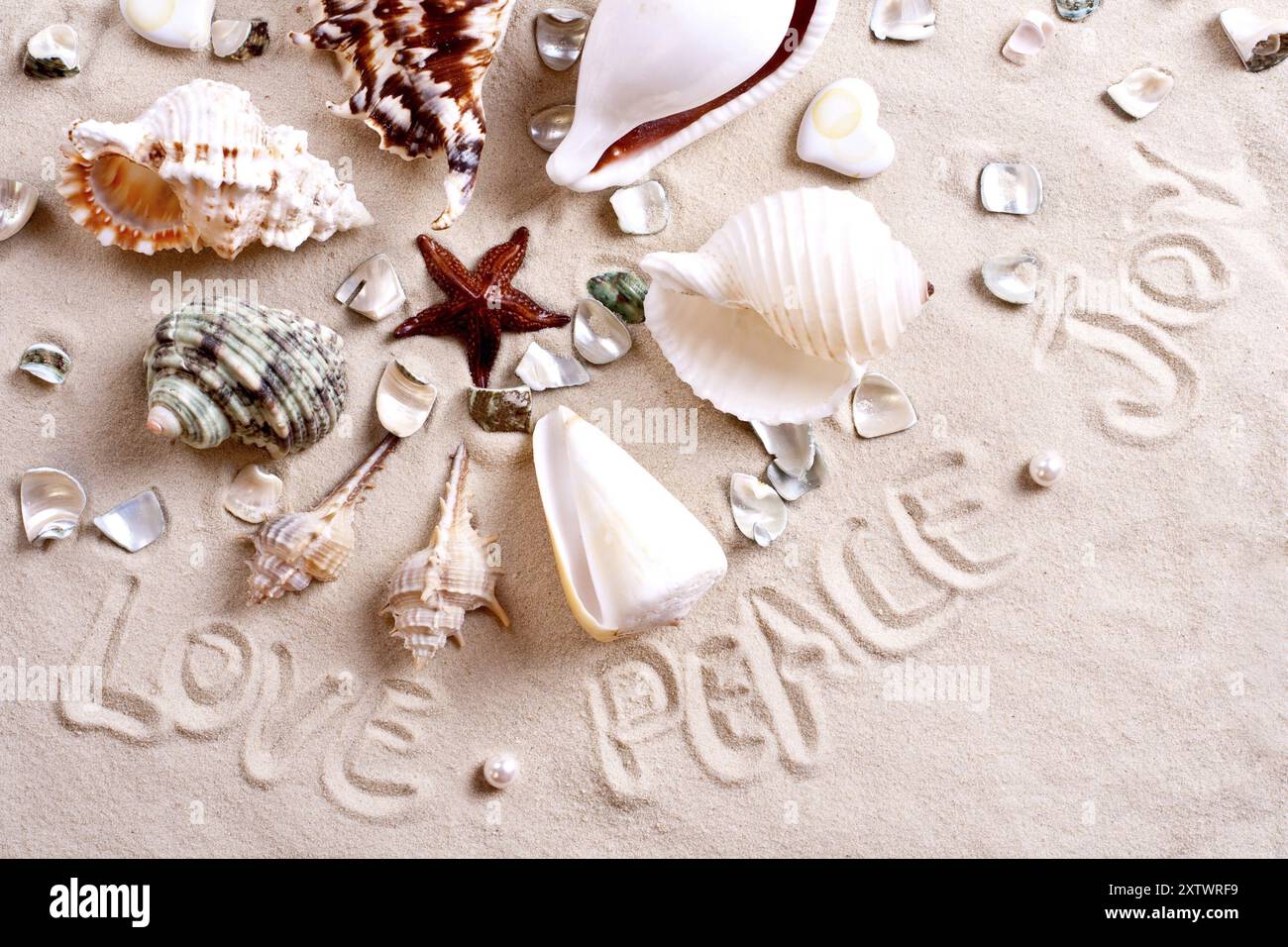 Muscheln in Sand mit Text als Hintergrund Stockfoto