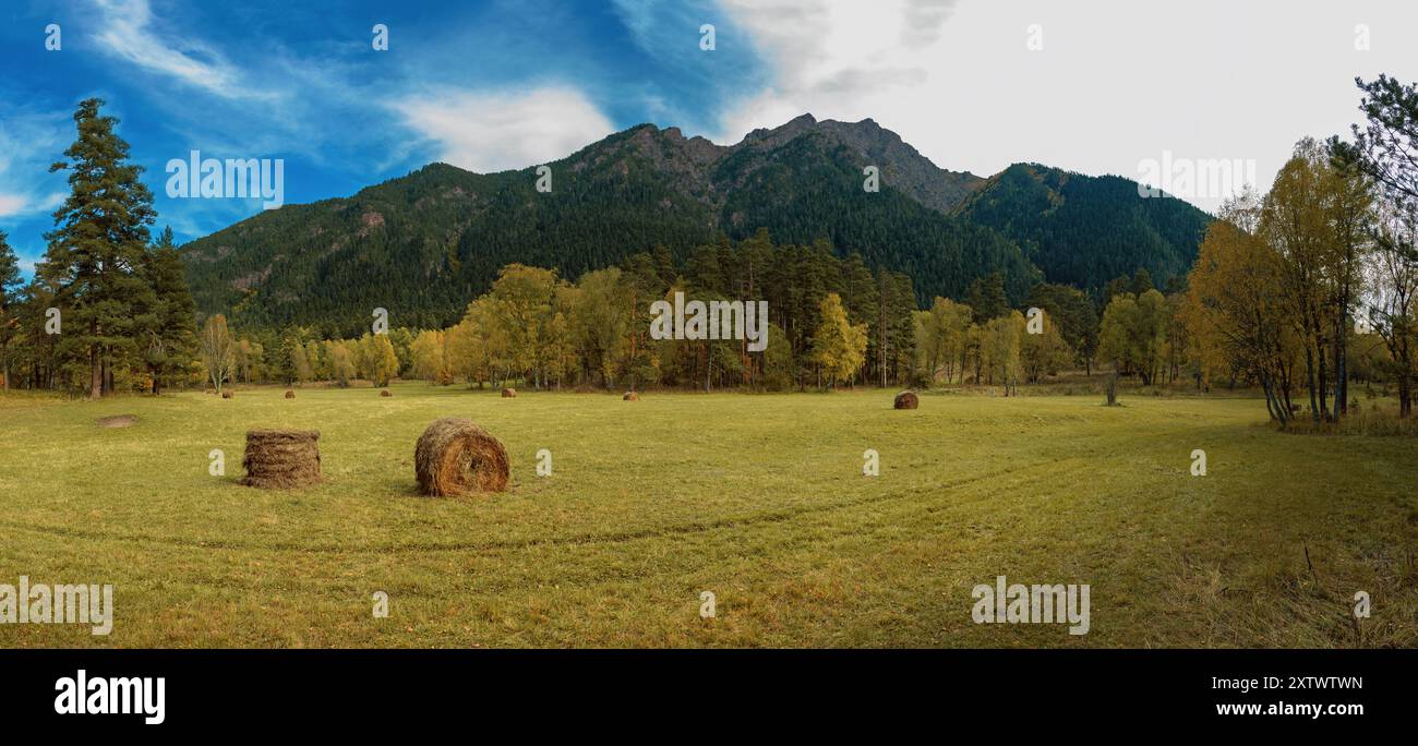 Panorama des Teberdinsky-Reservats. Arkhyz. Karatschay-Tscherkessia. Kaukasus. Russland. Stockfoto