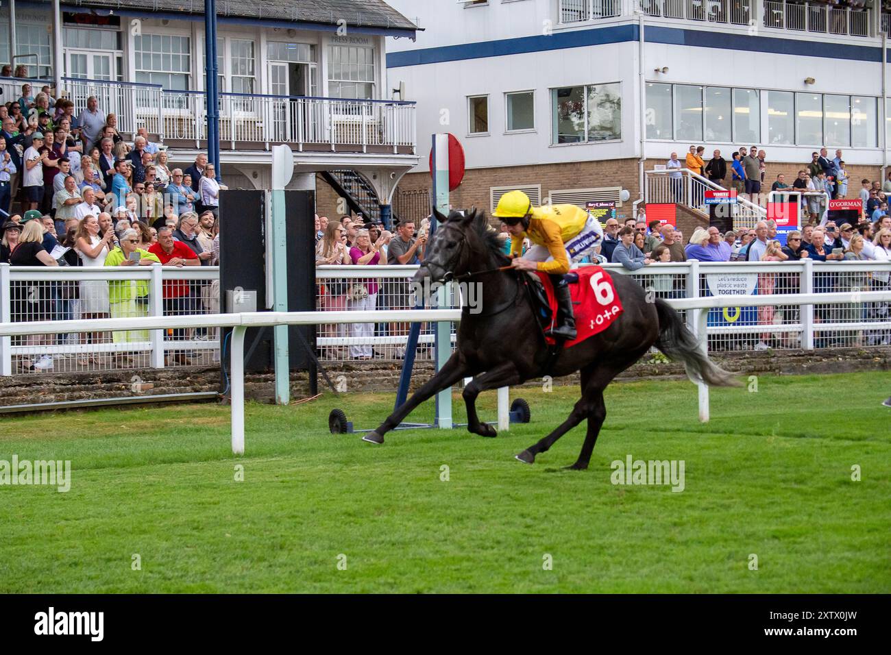 Windsor, Großbritannien. August 2024. NAZRON, geritten von Jockey Daniel Muscutt, gewinnt die Tote Placepot Leg 1 Racing League 22 Handicap Stakes (Klasse 4) (für Pferde in der Pflege von Trainern, die in der Racing League registriert sind) für den Osten beim Racing League Meeting auf der Royal Windsor Racecourse, Windsor, Berkshire. Besitzer Hasan Mefareh Alajmi, Trainer Roger Varian, Newmarket, Züchter China Horse Club International Ltd Quelle: Maureen McLean/Alamy Live News Stockfoto