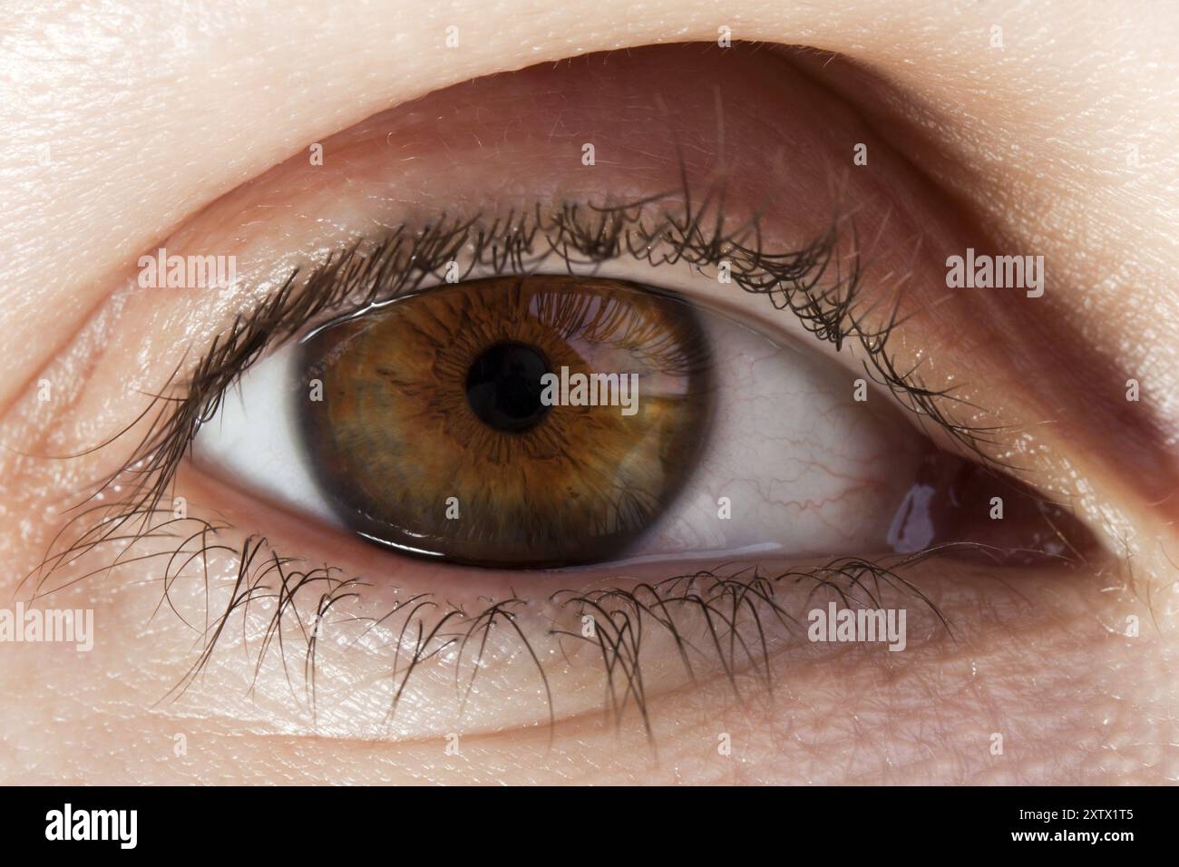 Menschlicher Körperteil, Schönheit aussehende Frauen Augenmakro Stockfoto