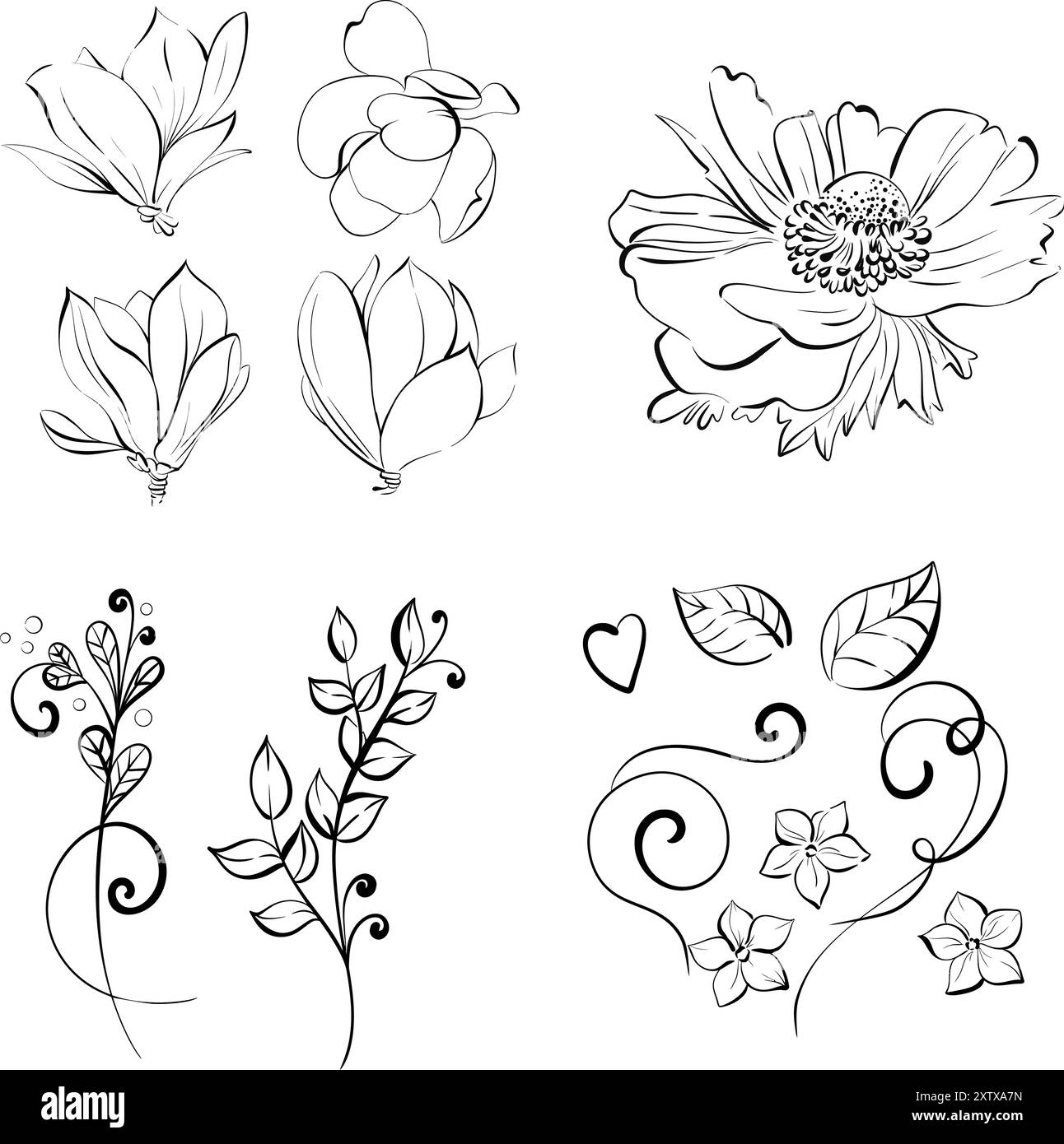 Magnolie und Anemonenvektormuster. Frühlings-Clipart, Designelement im romantischen Stil. Clipart für Design im Stil von Paris, Frankreich Stock Vektor