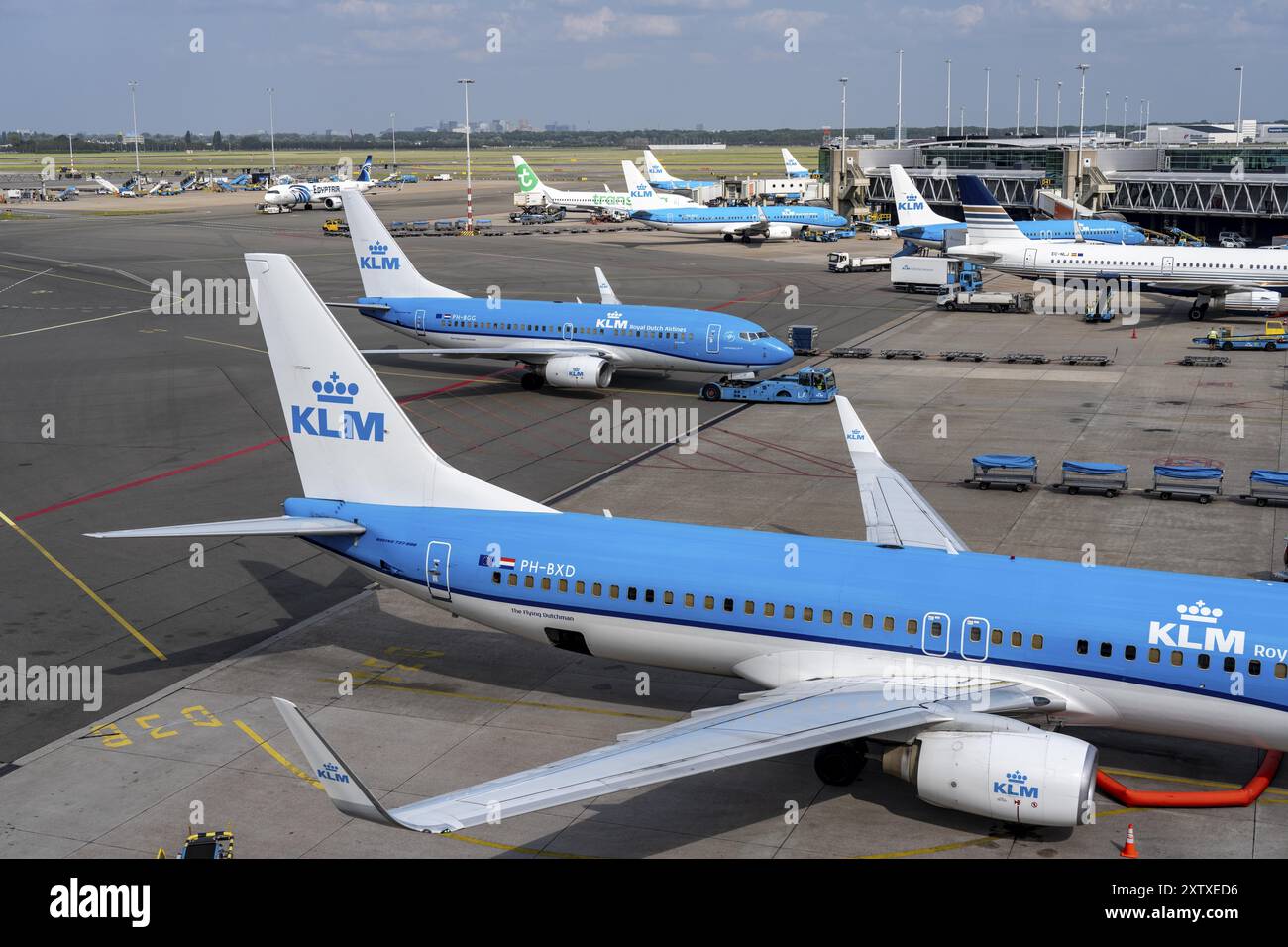 Flughafen Amsterdam Schiphol, Flugzeug am Terminal, Gate D, Check-in, Vorfeld, Amsterdam, Niederlande Stockfoto