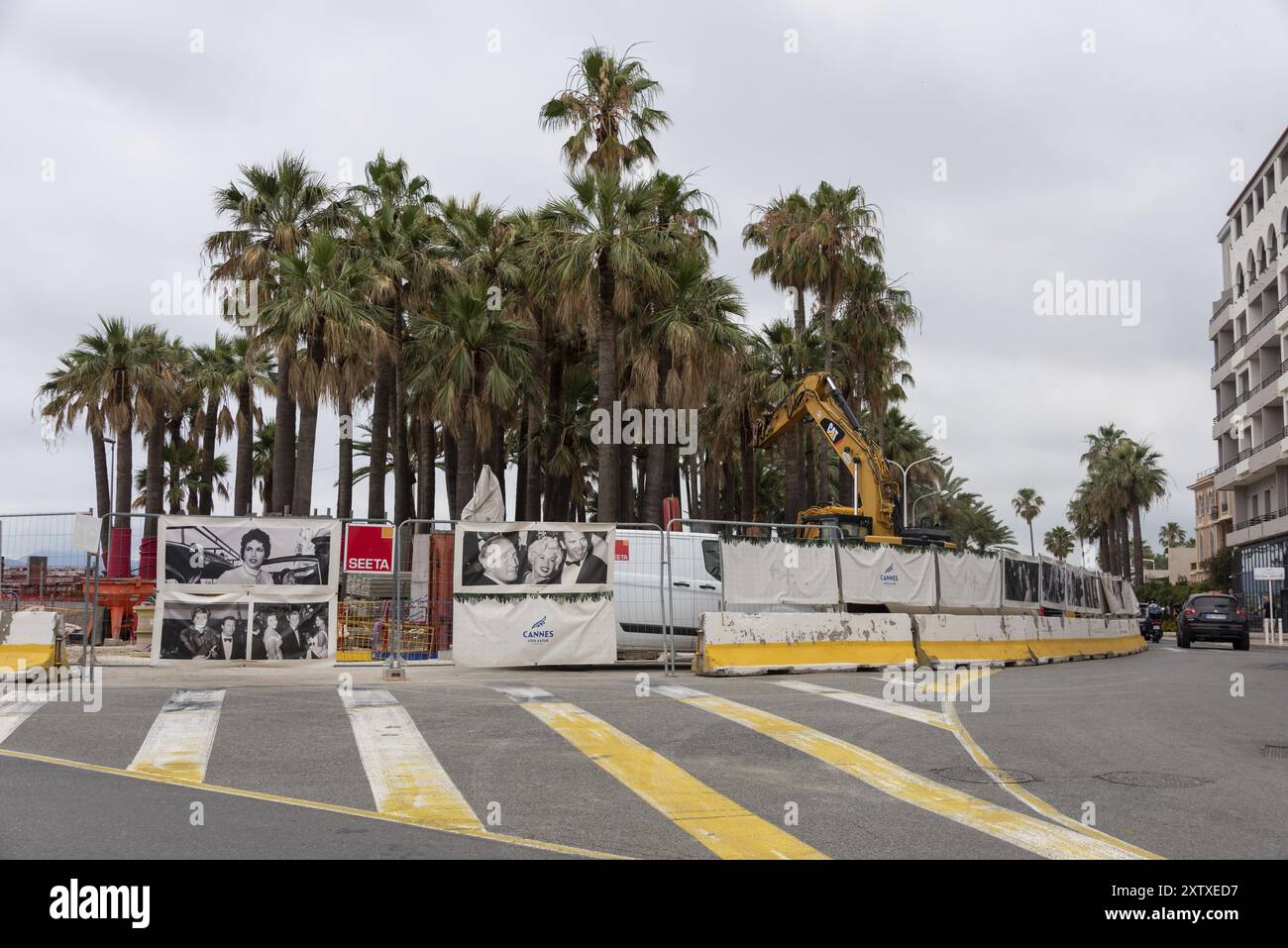 Blick auf einen Bauzaun mit Fotos vom Filmfestival von Cannes. Dahinter befinden sich zahlreiche Palmen, Cannes, Provence-Alpes-Cote d'Azur, Frankreich Stockfoto