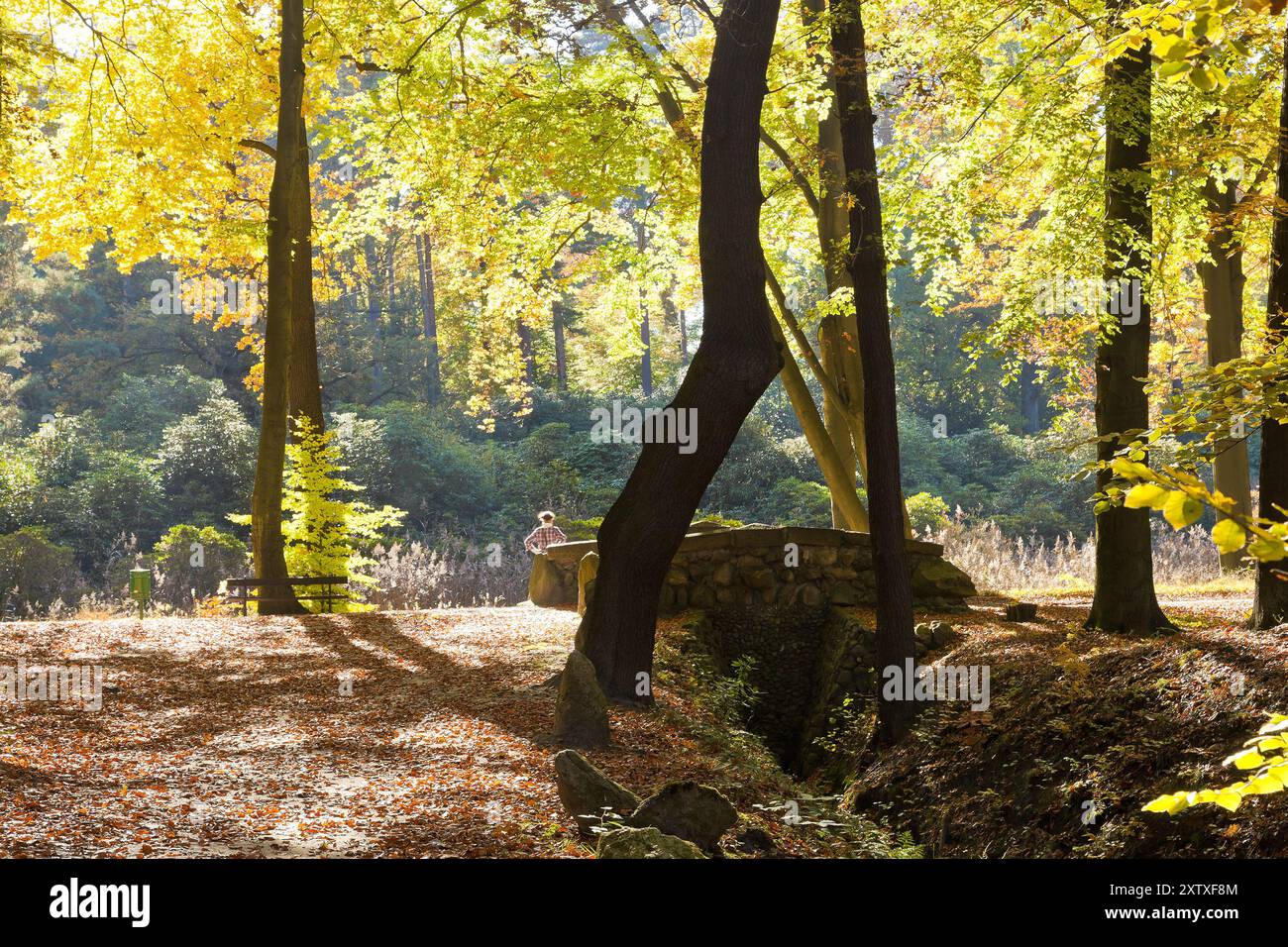 Kromlau Castle Park Rakotz Brücke Stockfoto