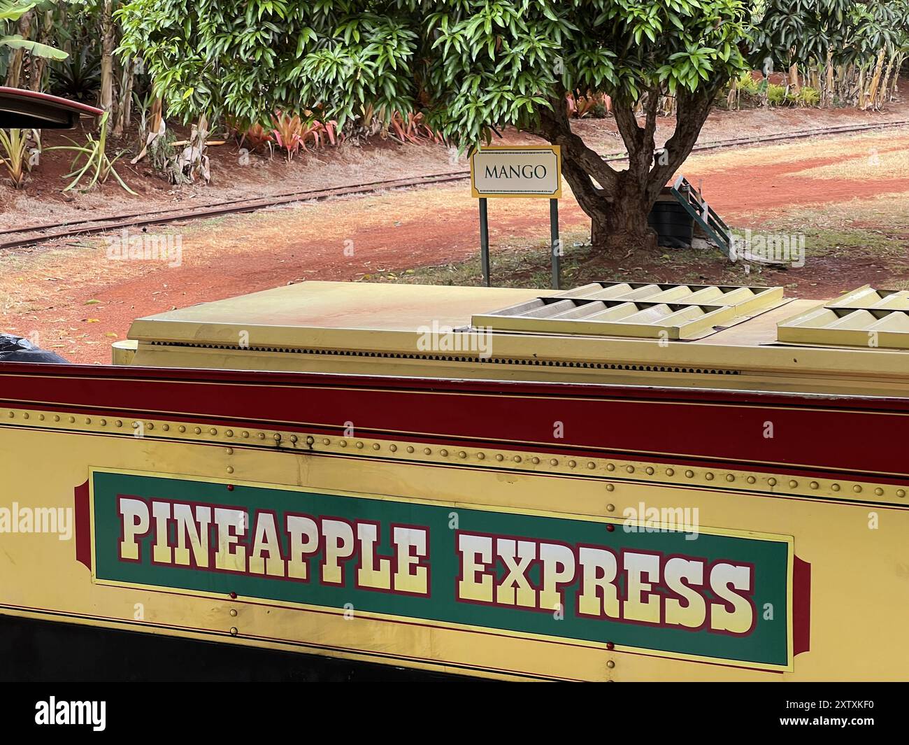 Eine Nahaufnahme des Dole Plantation Pineapple Express Railroad-Zuges mit Grün im Hintergrund, Insel Oahu, Wahiawa, Hawaii, 25. Juli, 2024. (Foto: Smith Collection/Gado/SIPA USA) Stockfoto