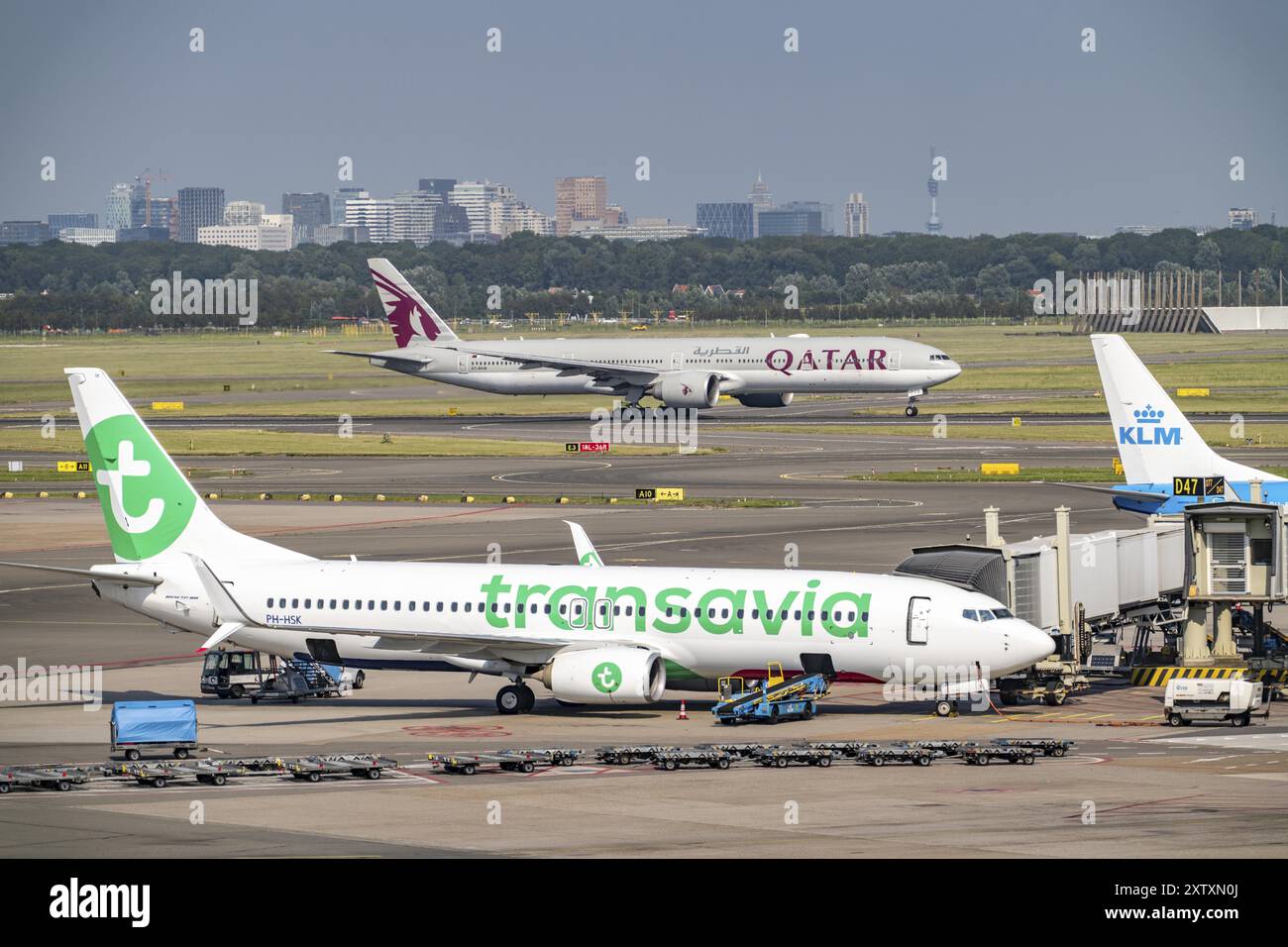 Amsterdam Flughafen Schiphol, Katar Flugzeuge starten auf der Start- und Landebahn Aalsmeerbaan, Flugzeuge auf dem Rollweg, am Terminal, Gate D, Check-in, Vorfeld, A Stockfoto