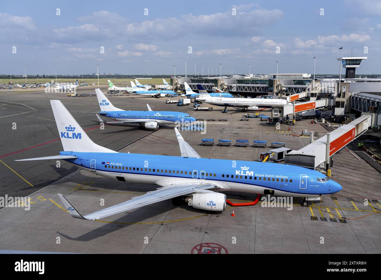 Flughafen Amsterdam Schiphol, Flugzeug am Terminal, Gate D, Check-in, Vorfeld, Amsterdam, Niederlande Stockfoto