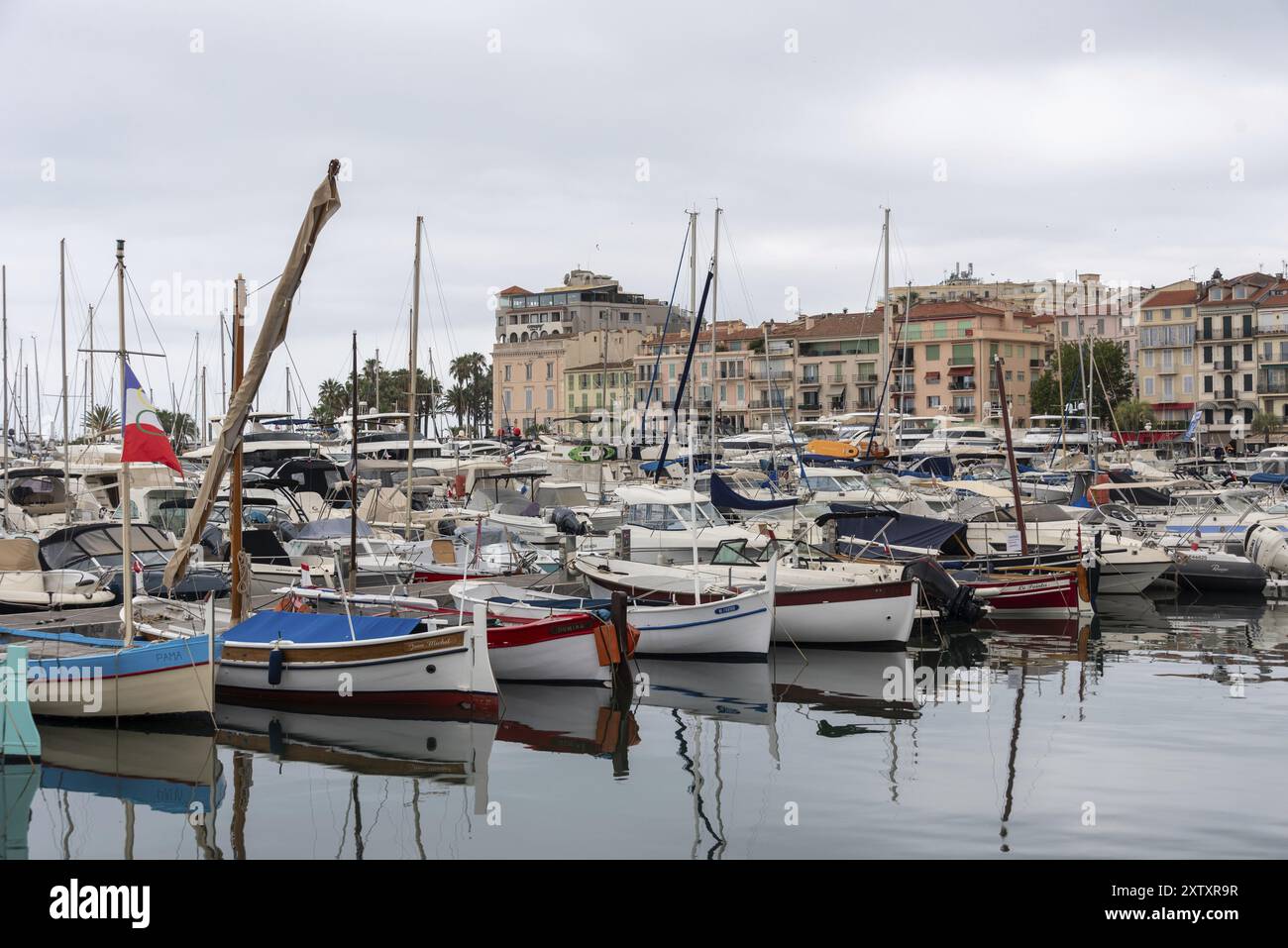 Boote im Hafen von Le Vieux Port in Cannes, Provence-Alpes-Cote d'Azur, Frankreich, Europa Stockfoto