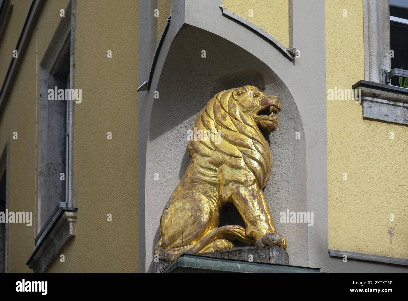 Goldener Löwe, Figur der Löwenapotheke, Kitzingen, Unterfarnken, Bayern, Deutschland, Europa Stockfoto