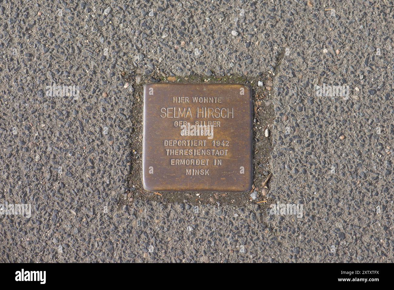 Stolperstein, Gedenken an deportierte und ermordete jüdische Mitbürger während der NS-Zeit, Kitzingen, Niederfranken, Bayern, Deutschland, Euro Stockfoto