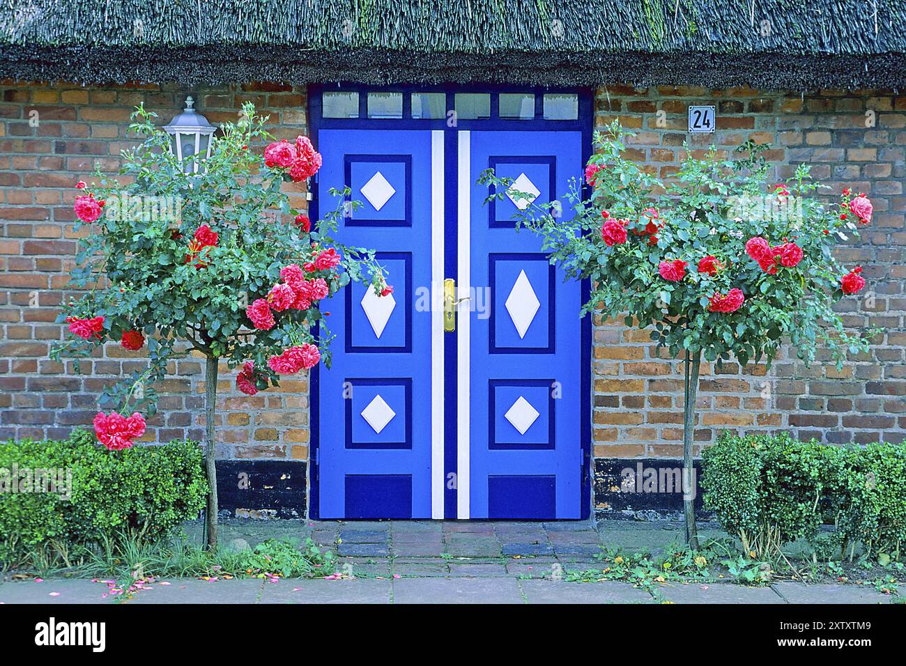 Eine blau-weiße Eingangstür in Schleswig Holstein, Nordfriesland, Schleswig-Holstein, Bundesrepublik Deutschland Stockfoto