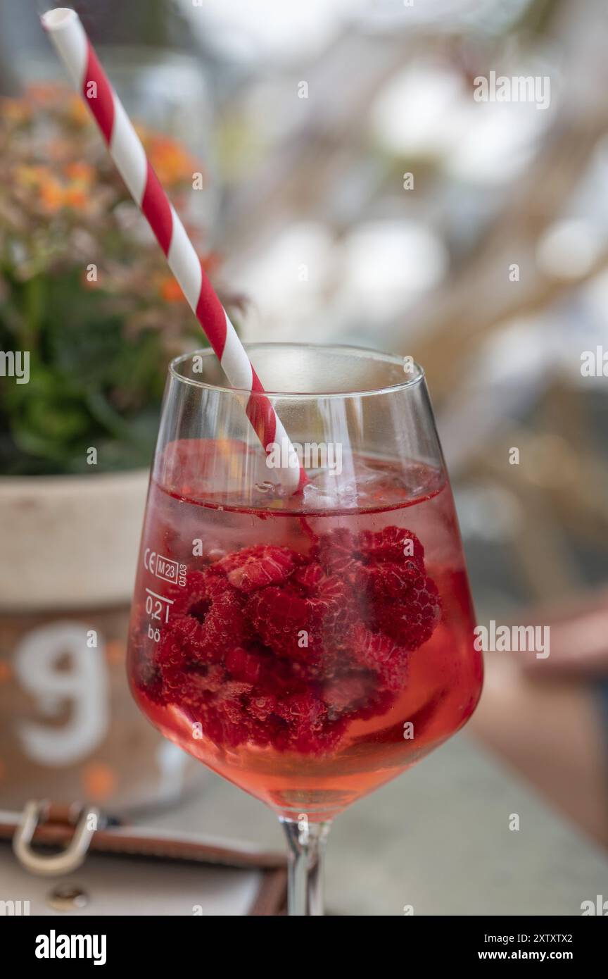 Aperitif fruchtig bitter mit Himbeeren im Glas mit Strohhalm, Franken, Bayern, Deutschland, Europa Stockfoto