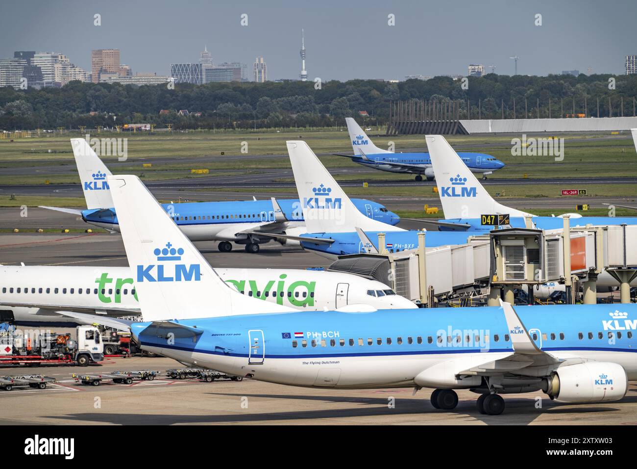 Flughafen Amsterdam Schiphol, Flugzeuge auf dem Rollweg, am Terminal, Gate D, Check-in, Vorfeld, Amsterdam, Niederlande Stockfoto
