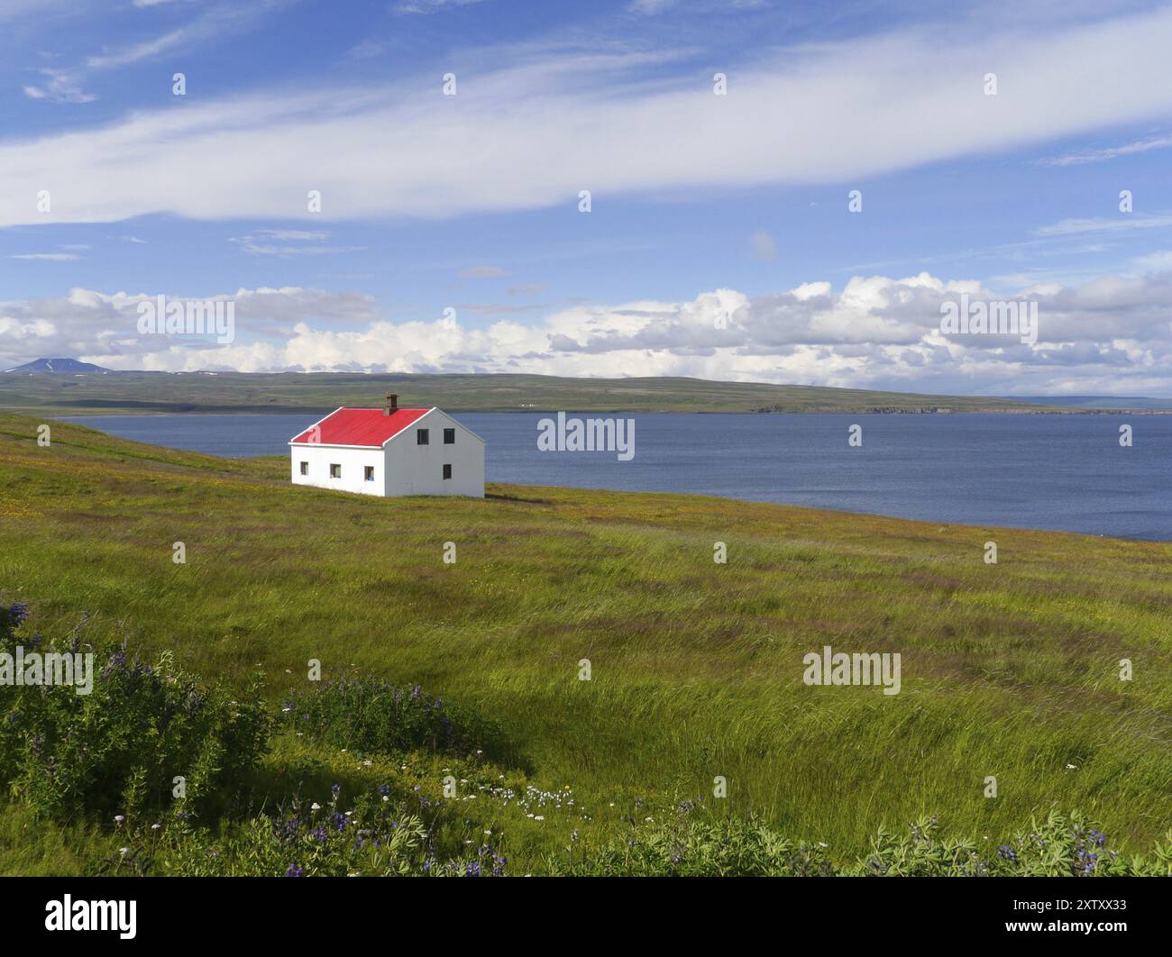 Küstenlandschaft mit Haus im Nordosten Islands Stockfoto