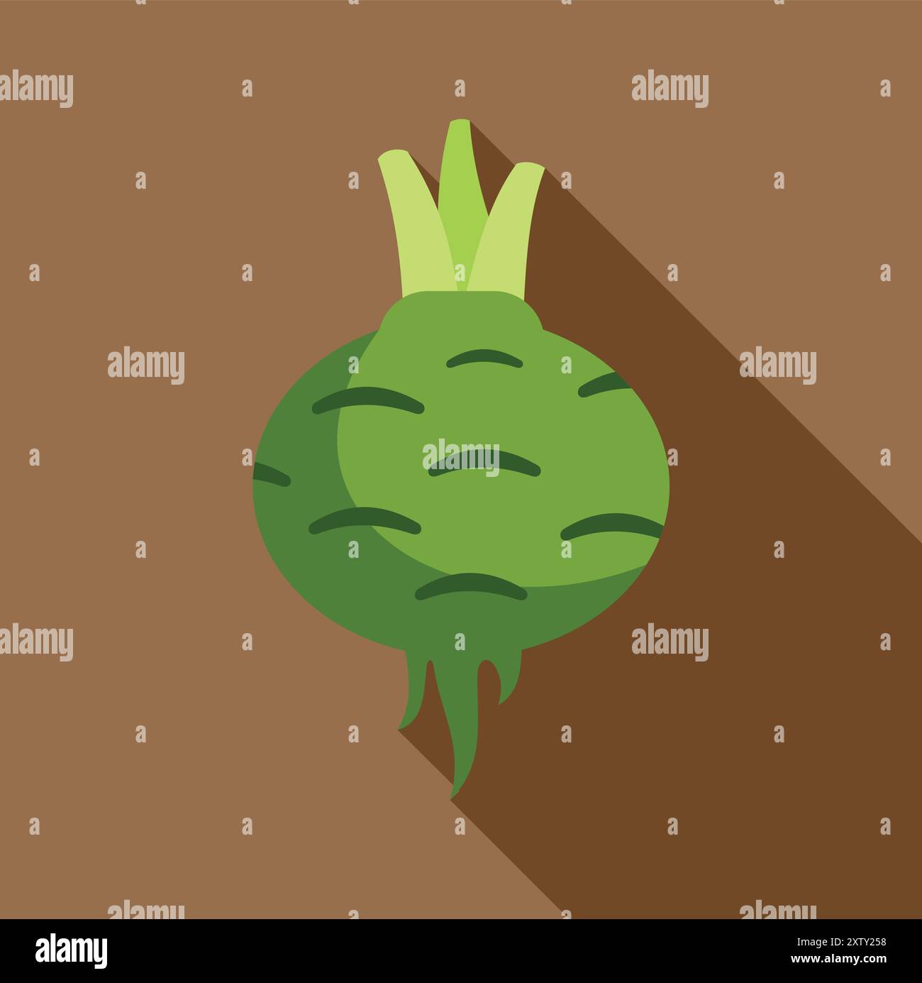 Grünes Kohlrabi-Gemüse, das einen langen Schatten auf braunem Hintergrund wirft Stock Vektor