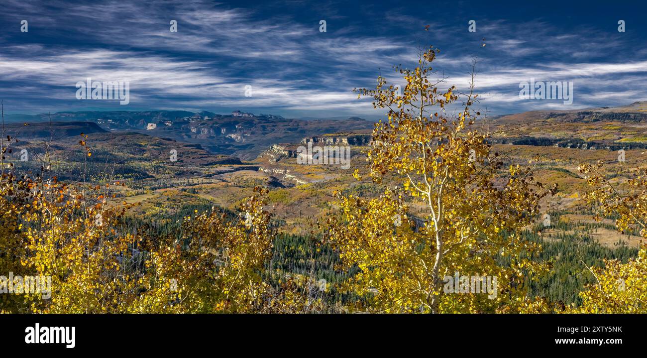 Ändern von Aspen - südliche Utah Berge Stockfoto