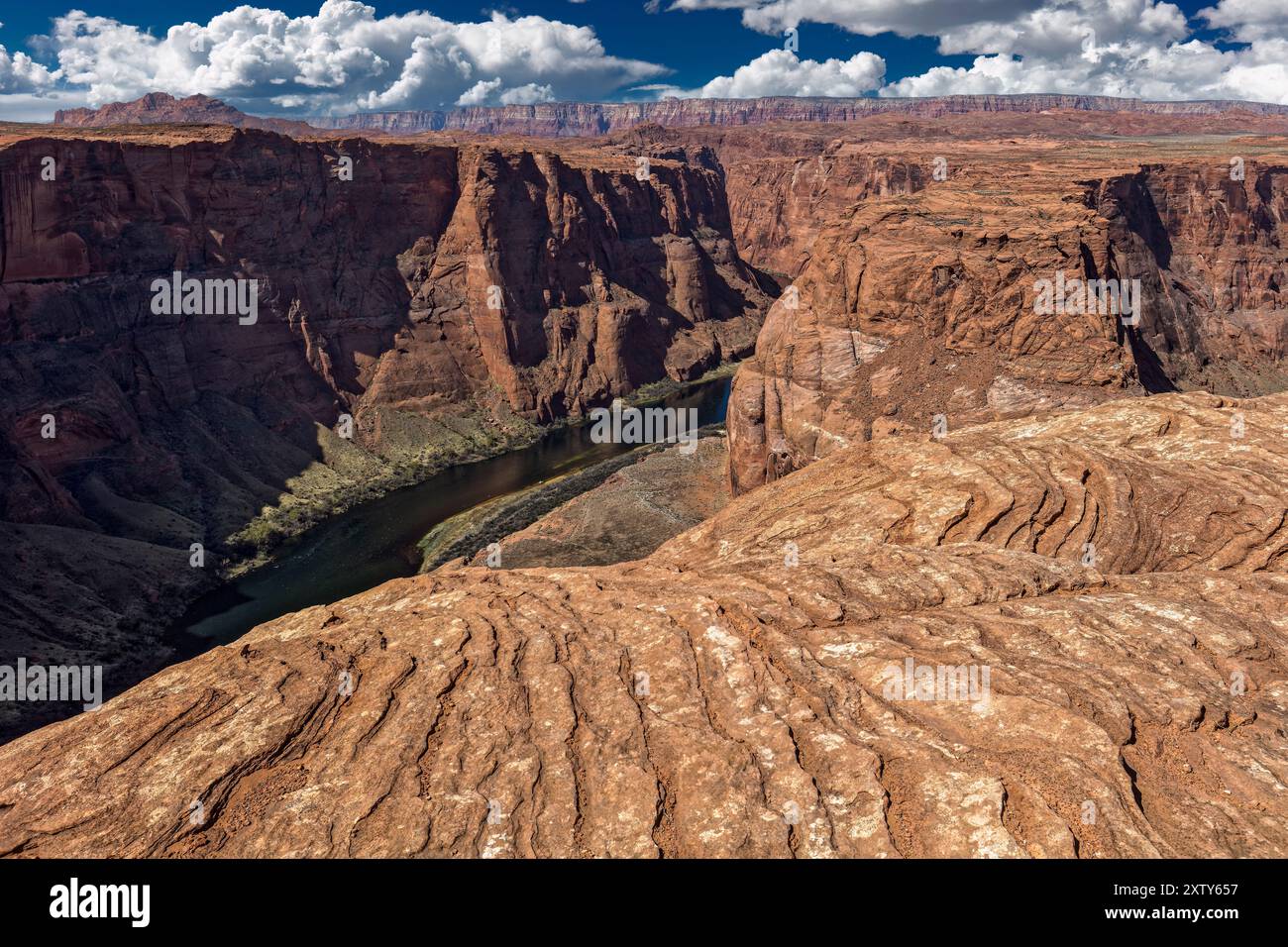 Exfoliating Navajo Sandstein im Horseshoe Bend, Glen Canyon National Recreation Area, Page, Arizona Stockfoto