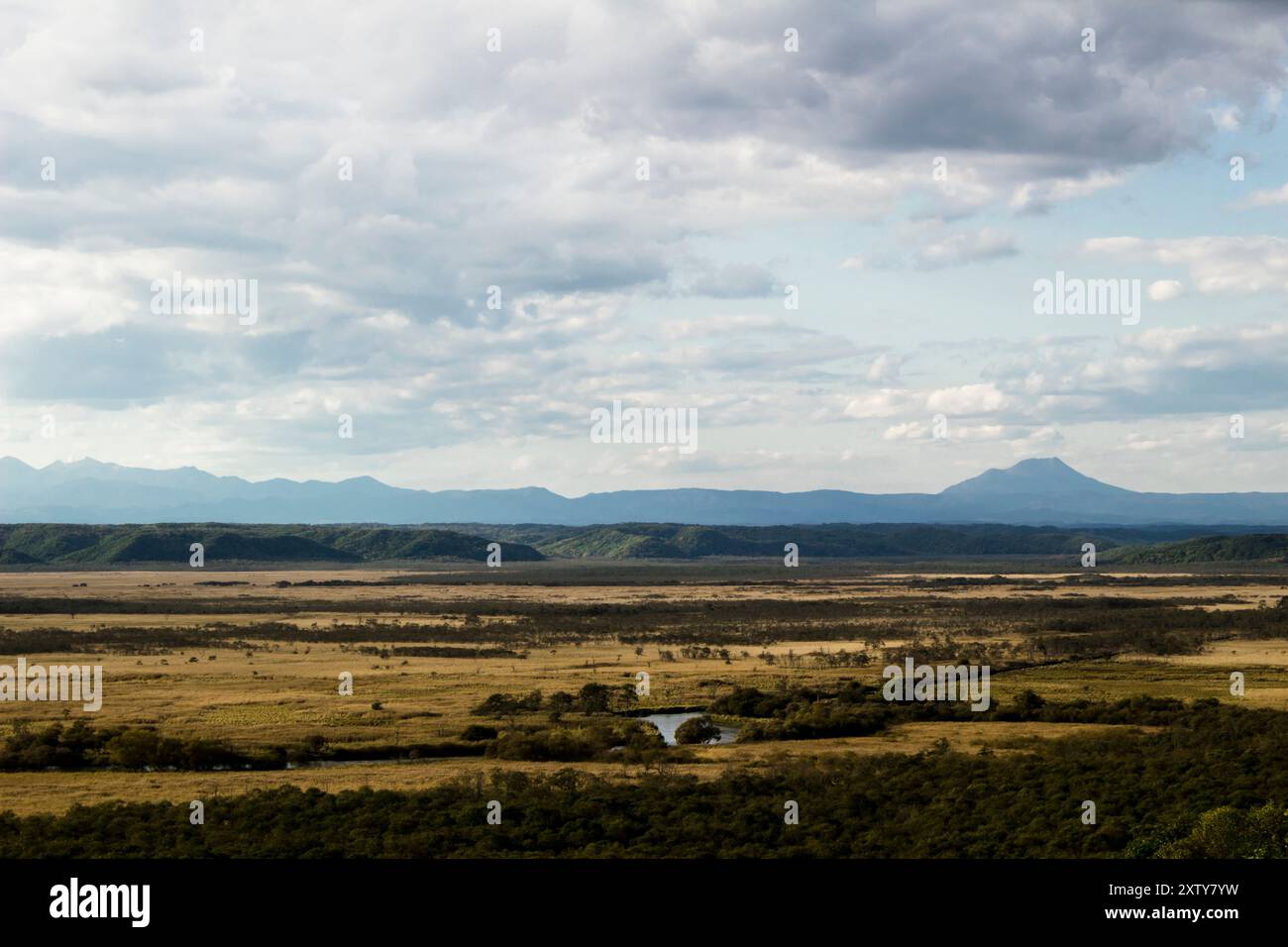 Wunderschöne Landschaft in Japan Panoramablick auf das Sumpfgebiet von Kushiro Stockfoto