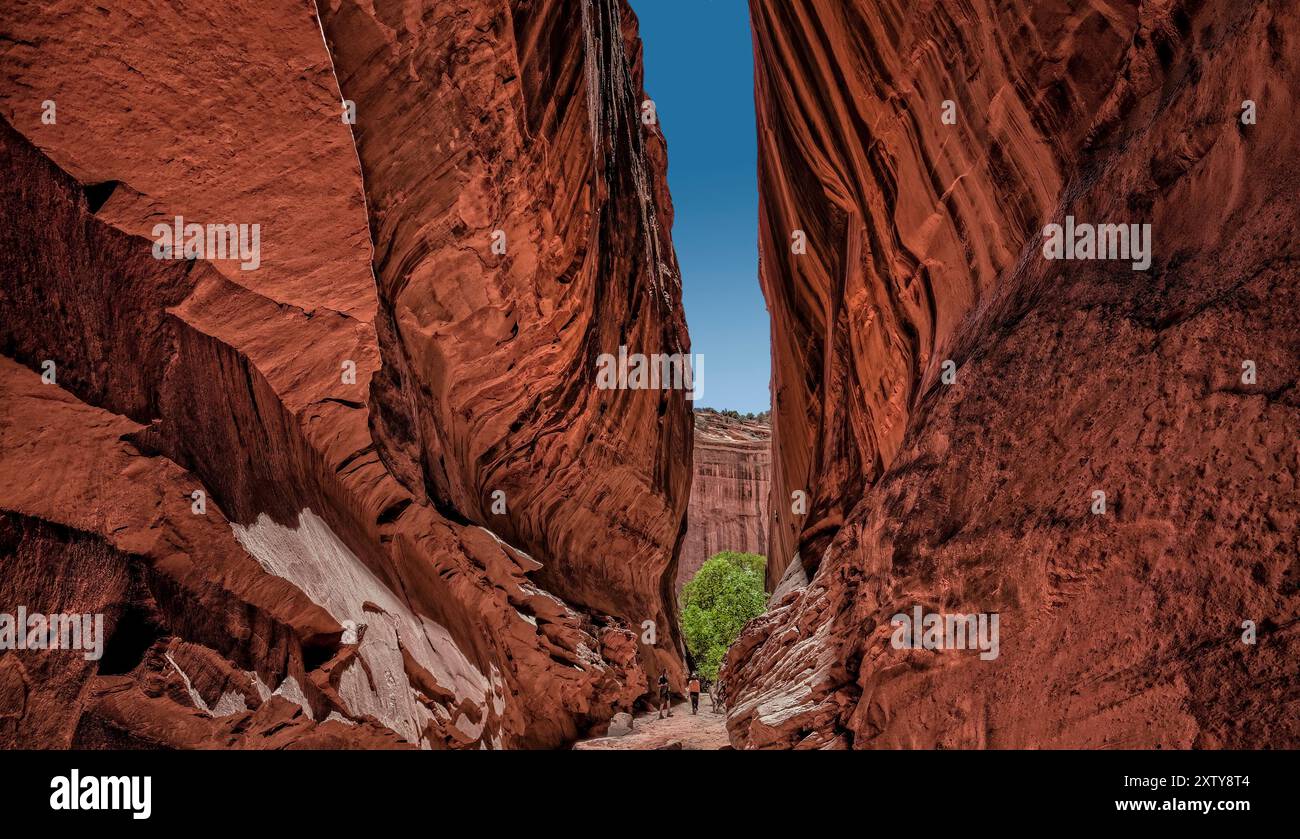 Slot Canyon - Capitol Reef National Park - Utah Stockfoto