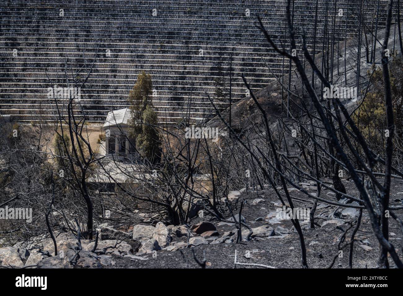 Der antike Tempel am Fuße des Marathondamms liegt inmitten eines verbrannten Waldes und als Folge des verheerenden Brandes, der in Ostattik ausbrach Stockfoto