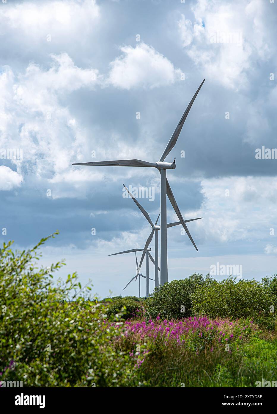 Landschaftsfotografie von Windkraftanlagen; Windmühle; Windkraft; Stromerzeugung; Elektrizität; Innovation; Green Energy; Whitelee Windfarm, Schottland Stockfoto