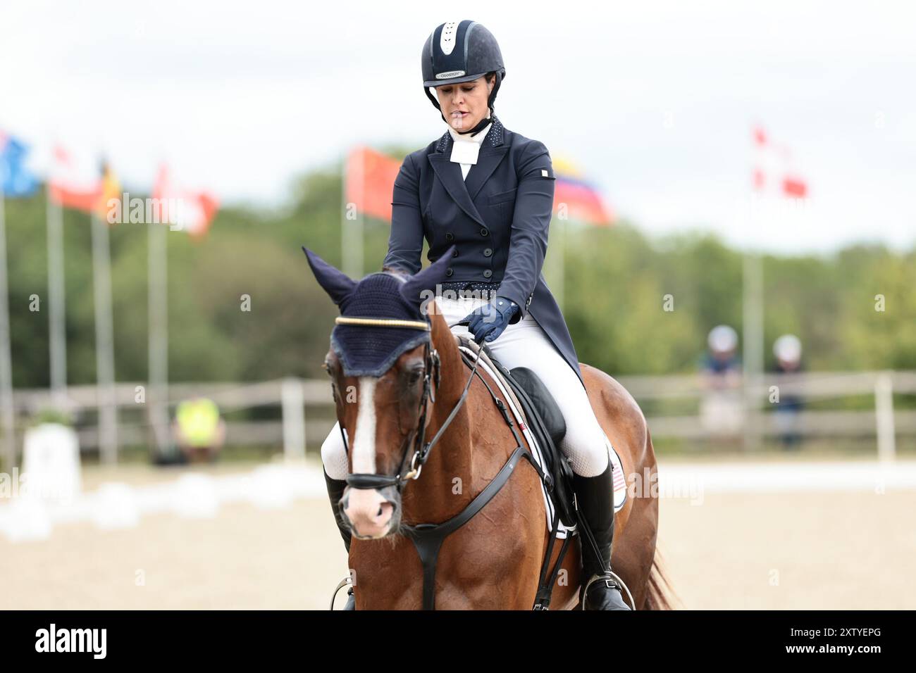 Katherine COLEMAN aus den Vereinigten Staaten mit Sirius SB während der Dressur von CCIO4*-NC-S · Prix Adeps beim Concours Complet International d’Arville am 16. August 2024 in Gesves, Belgien (Foto von Maxime David - MXIMD Pictures) Credit: MXIMD Pictures/Alamy Live News Stockfoto