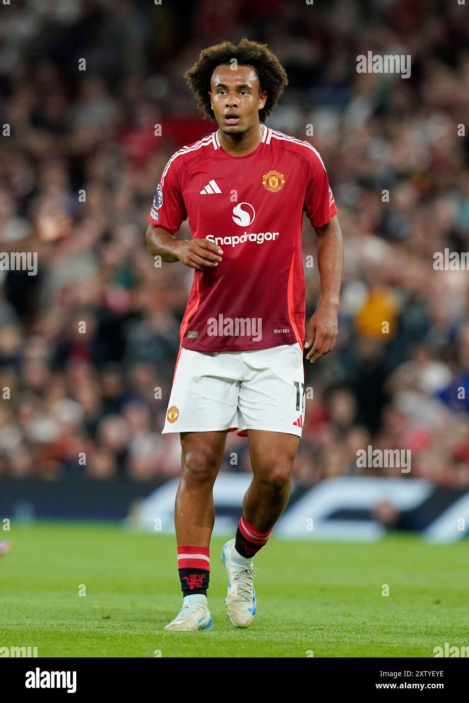 Manchester, Großbritannien. August 2024. Joshua Zirkzee von Manchester United während des Premier League-Spiels in Old Trafford, Manchester. Der Bildnachweis sollte lauten: Andrew Yates/Sportimage Credit: Sportimage Ltd/Alamy Live News Stockfoto