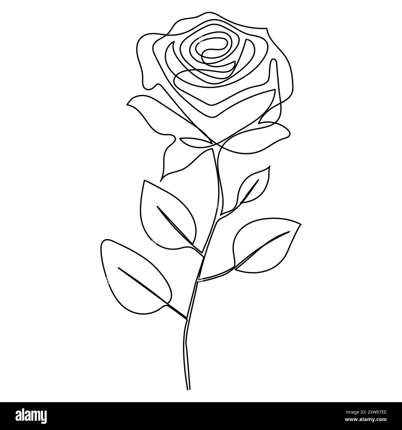 Durchgehende einzelne einzeilige Rose Design handgezeichnete Zeichnung Rosen Strichgrafik Illustration Stock Vektor