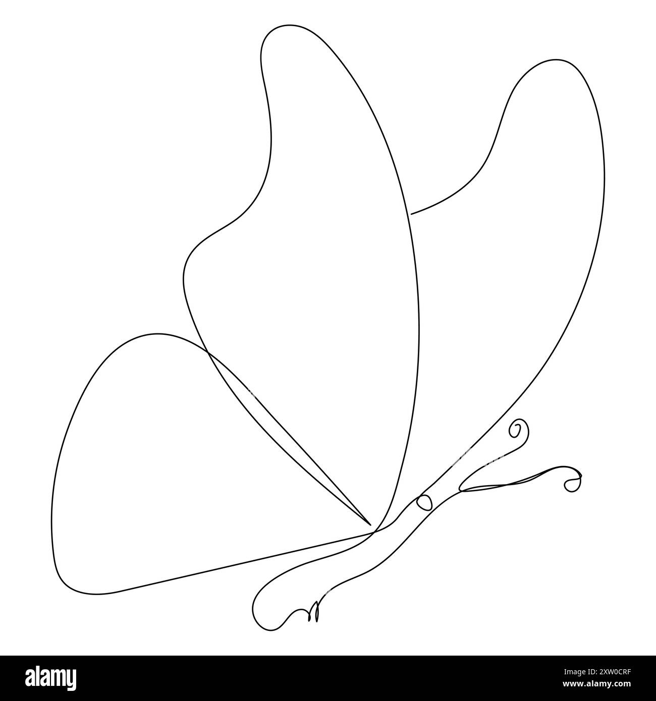 Clipart Schmetterling Umriss