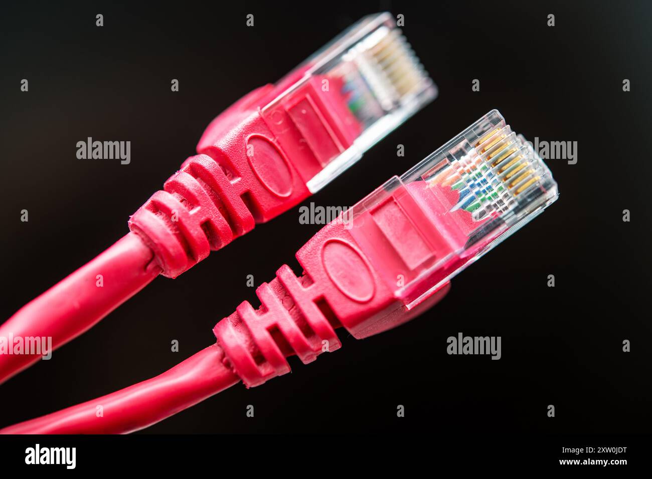 Zwei rote Ethernet-Kabel werden vor dunklem Hintergrund angezeigt und zeigen wichtige Anschlüsse, die in der Computernetzwerktechnik verwendet werden. Ideal zur Darstellung von d Stockfoto