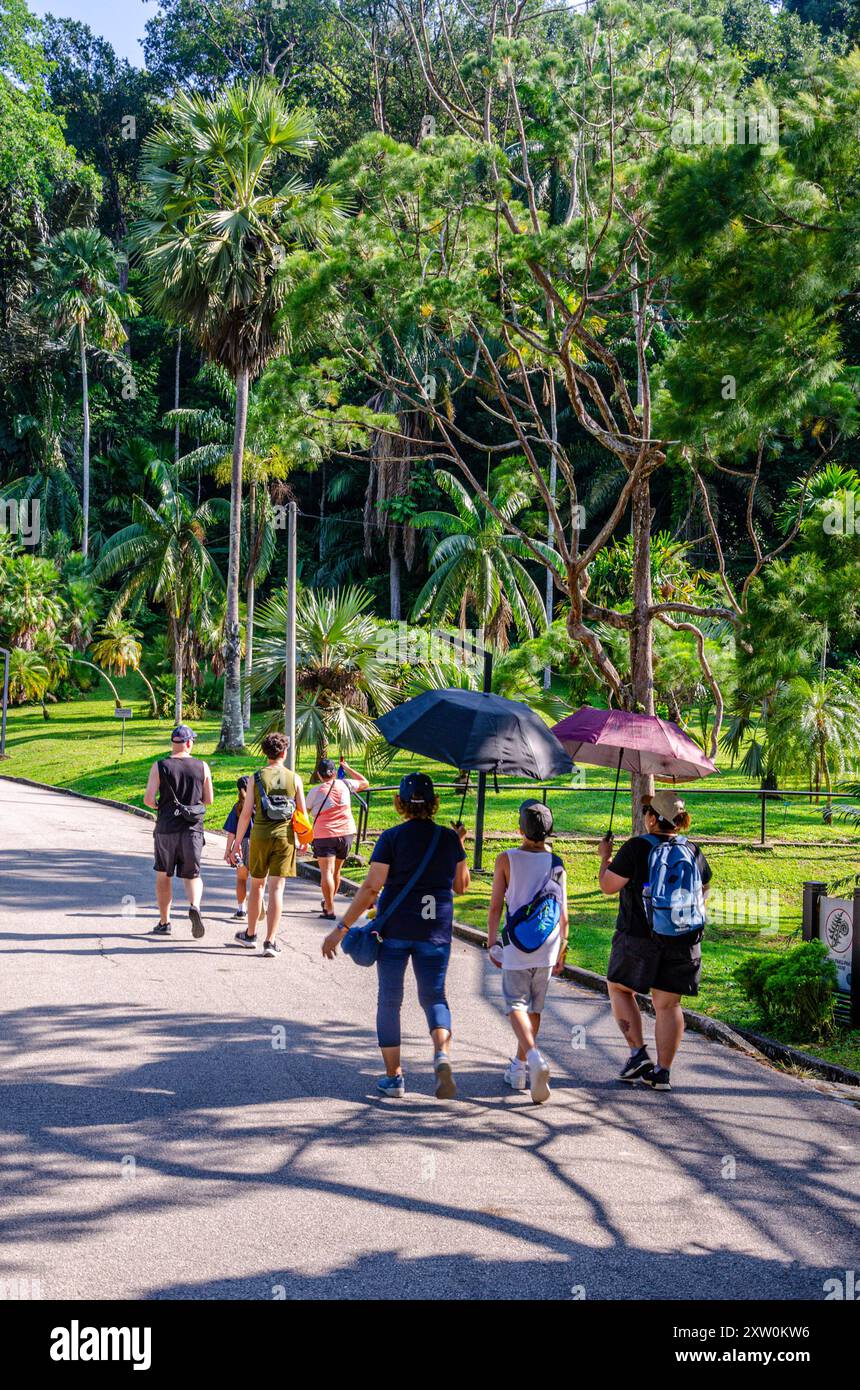Besucher spazieren auf einer Straße durch die Botanischen Gärten von Penang, Pulau Pinang, Malaysia. Stockfoto