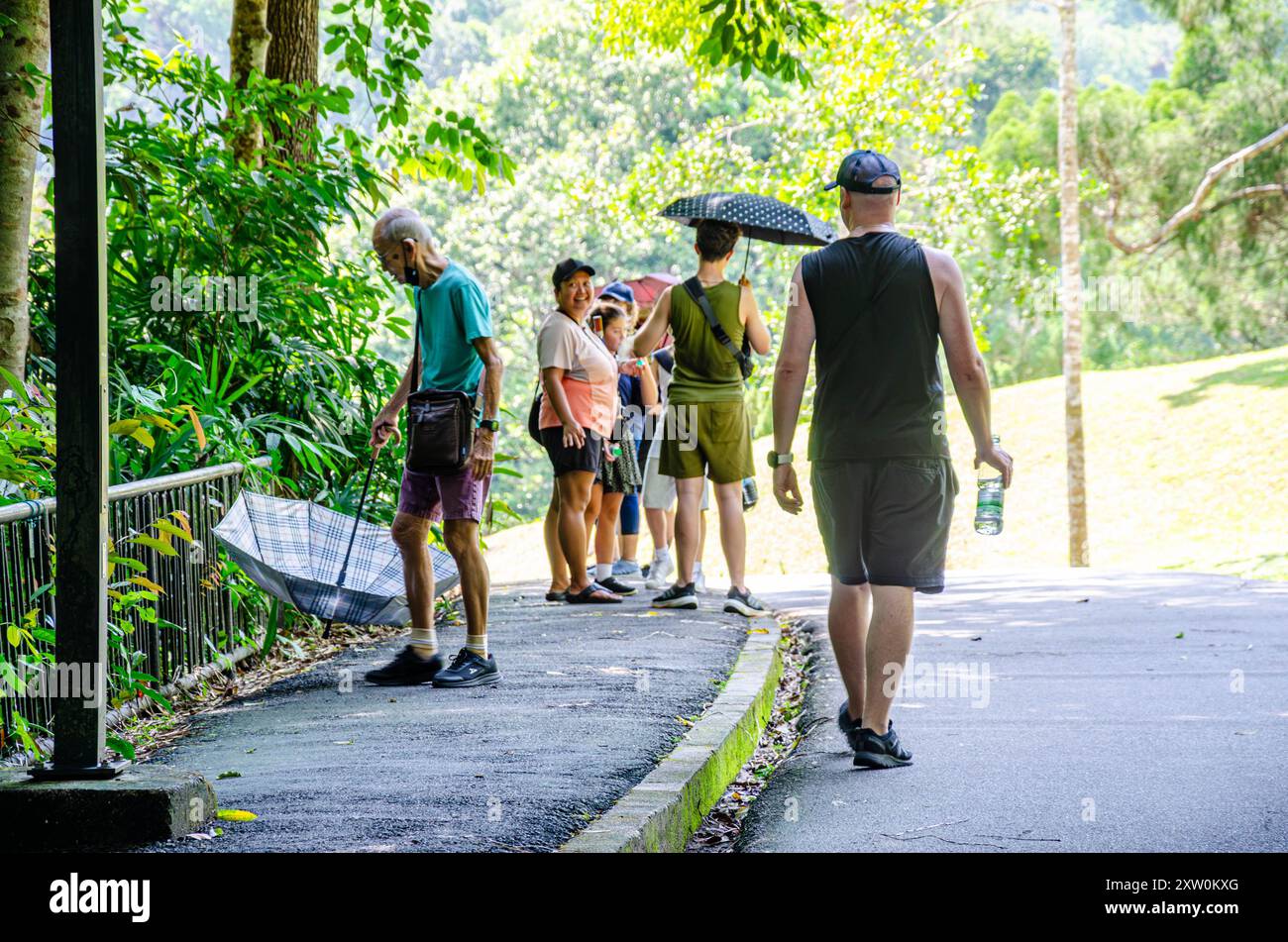 Besucher spazieren auf einer Straße durch die Botanischen Gärten von Penang in Pulau Pinang, Malaysia, und nutzen Sonnenschirme, die den Schatten der heißen Sonne schützen. Stockfoto